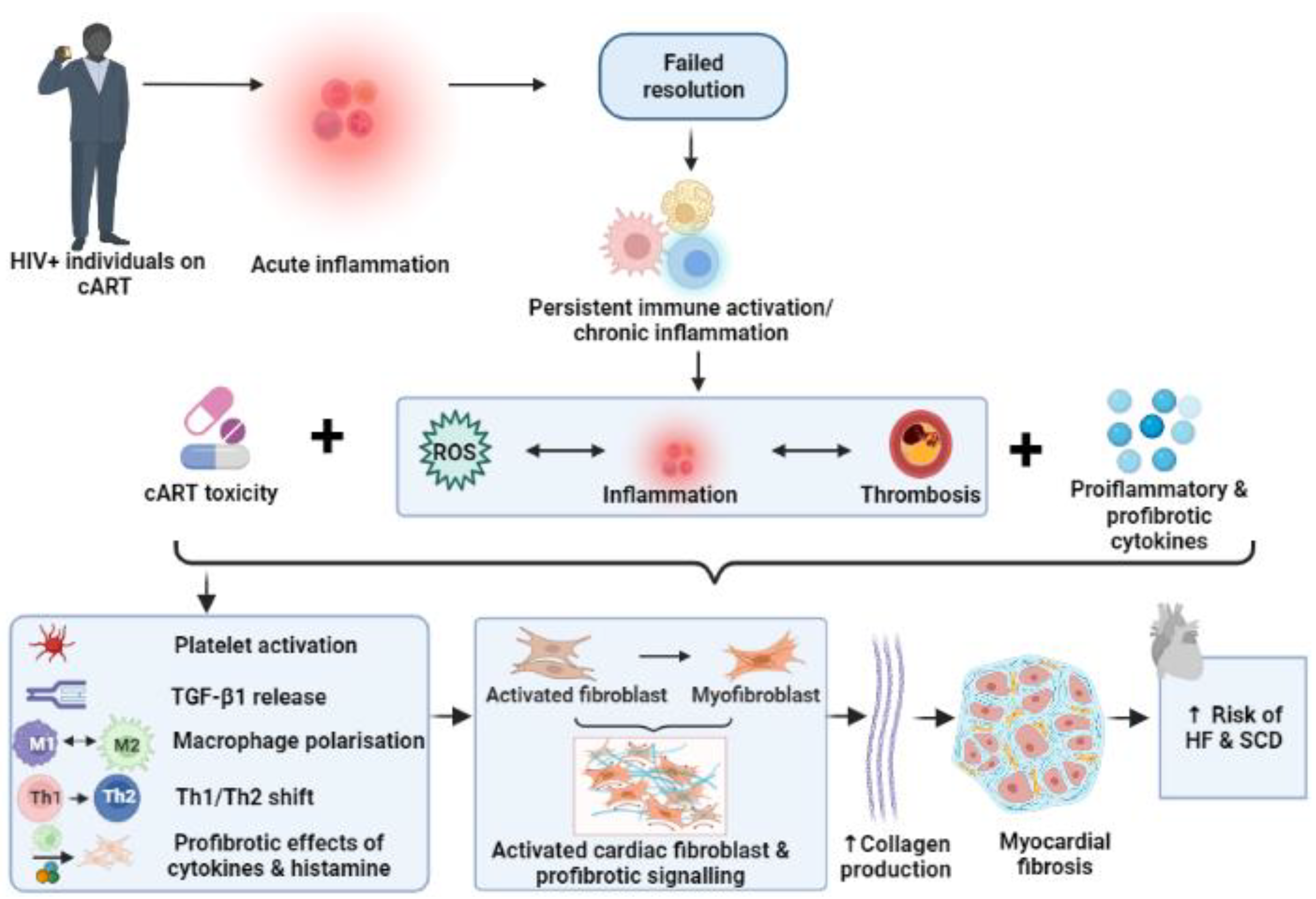 Cells 11 02825 g003 Cells 11 02825 g003