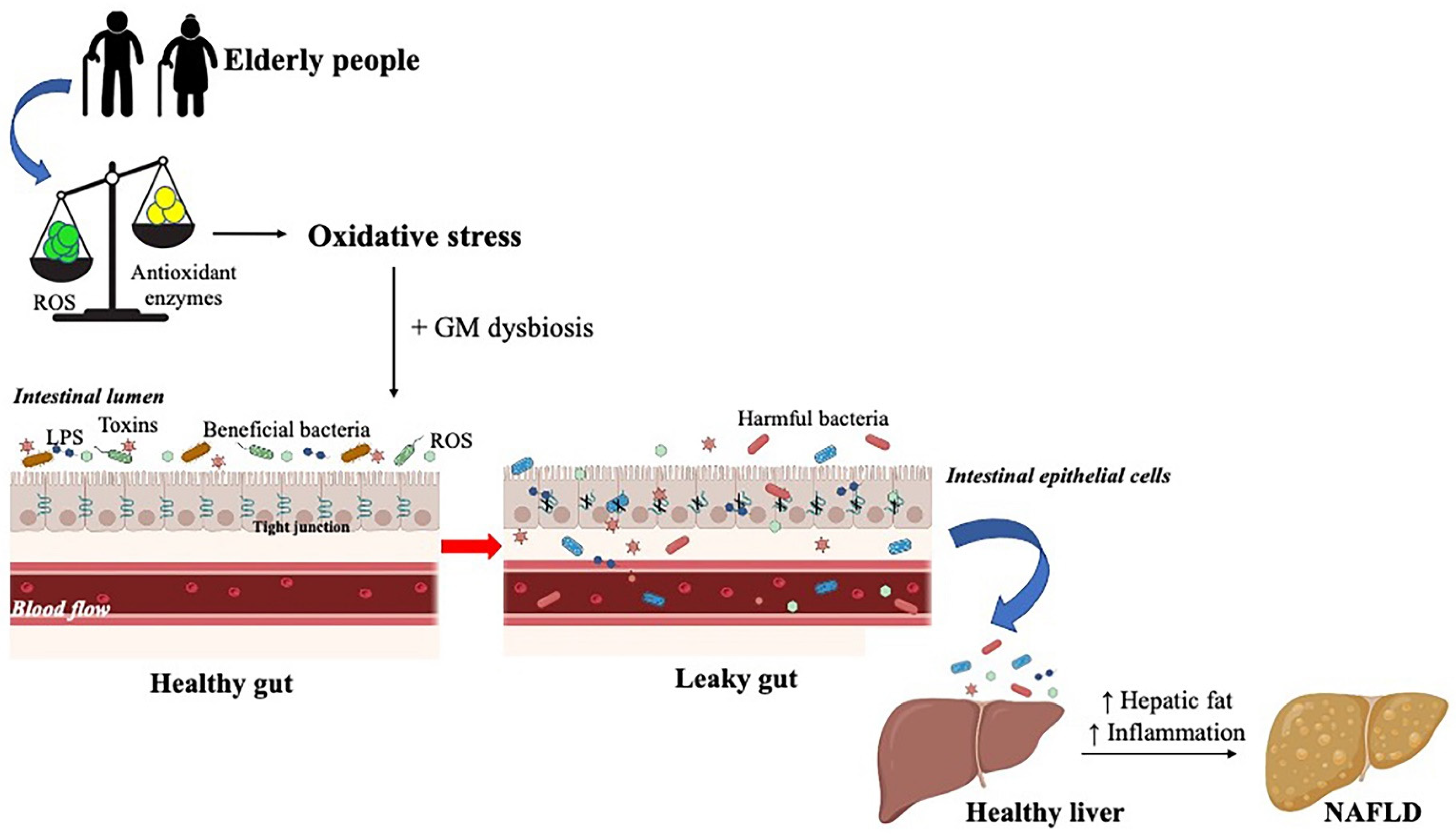 Cells 11 02827 g002 Cells 11 02827 g002