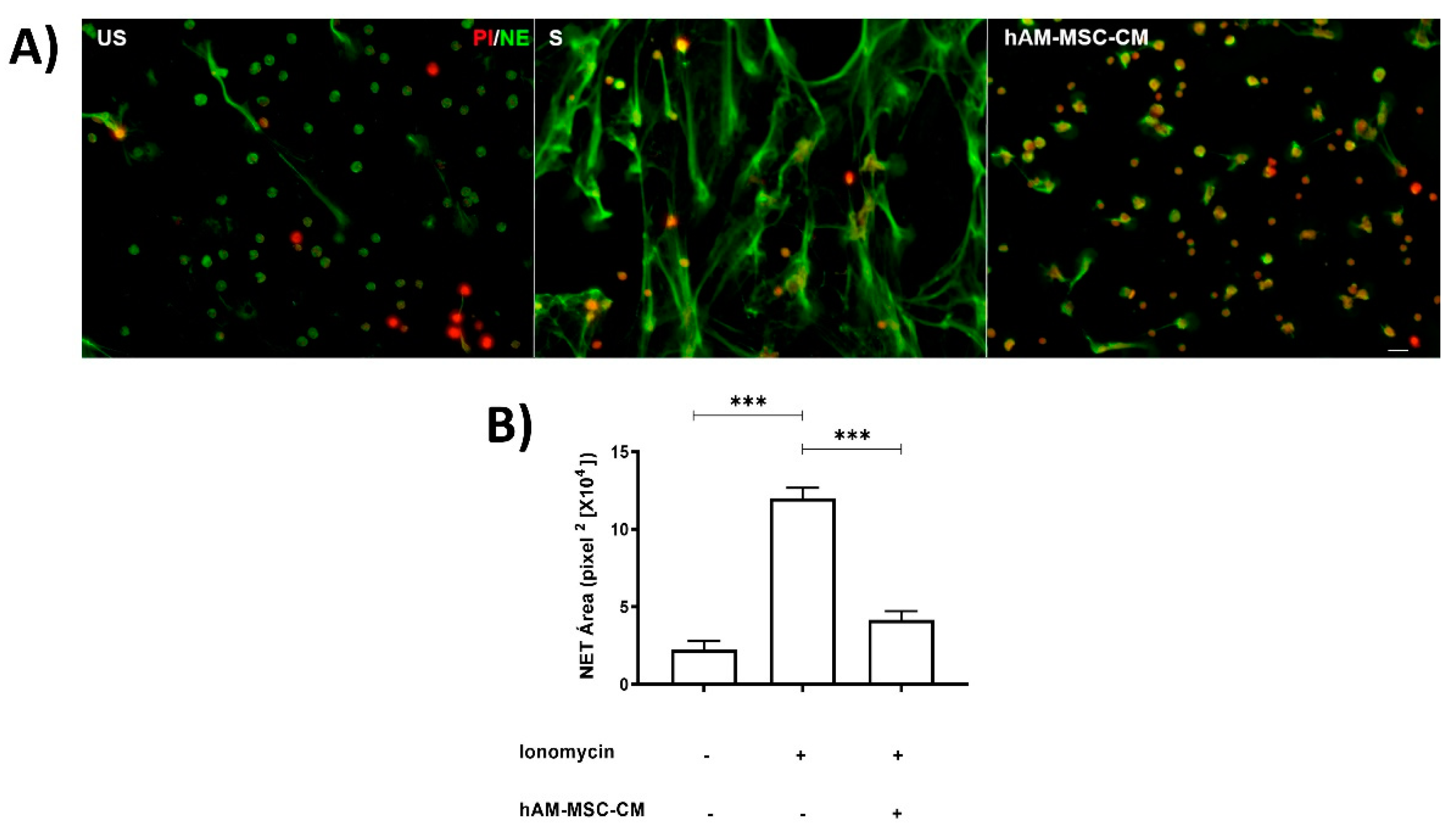 Cells 11 02831 g001 550