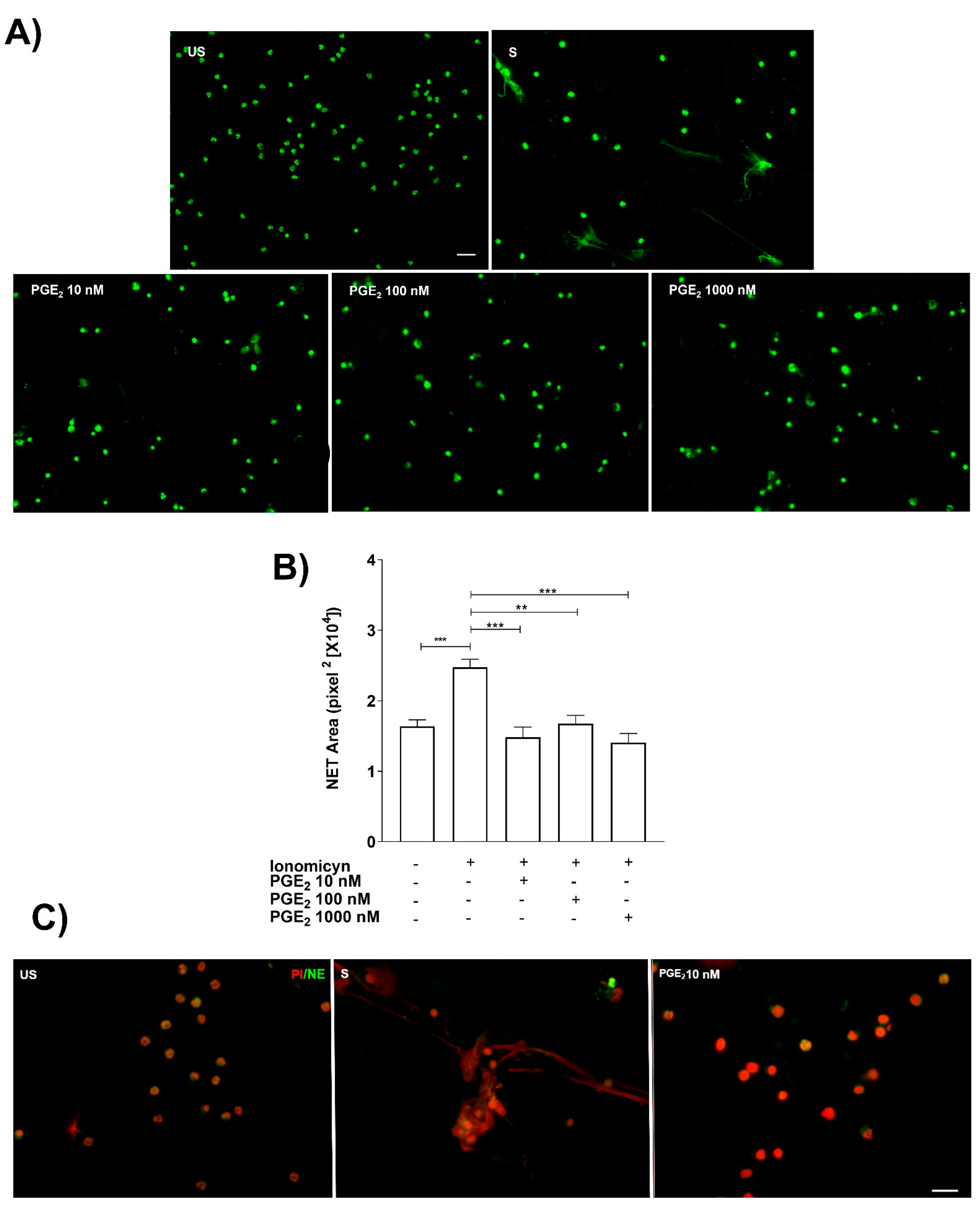 Cells 11 02831 g003 550