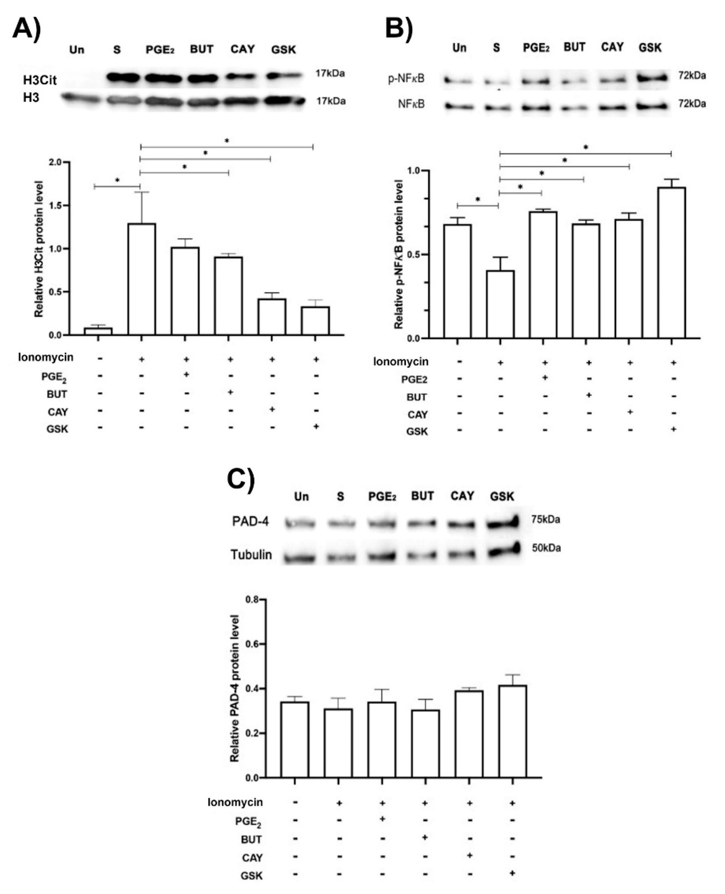 Cells 11 02831 g005 550