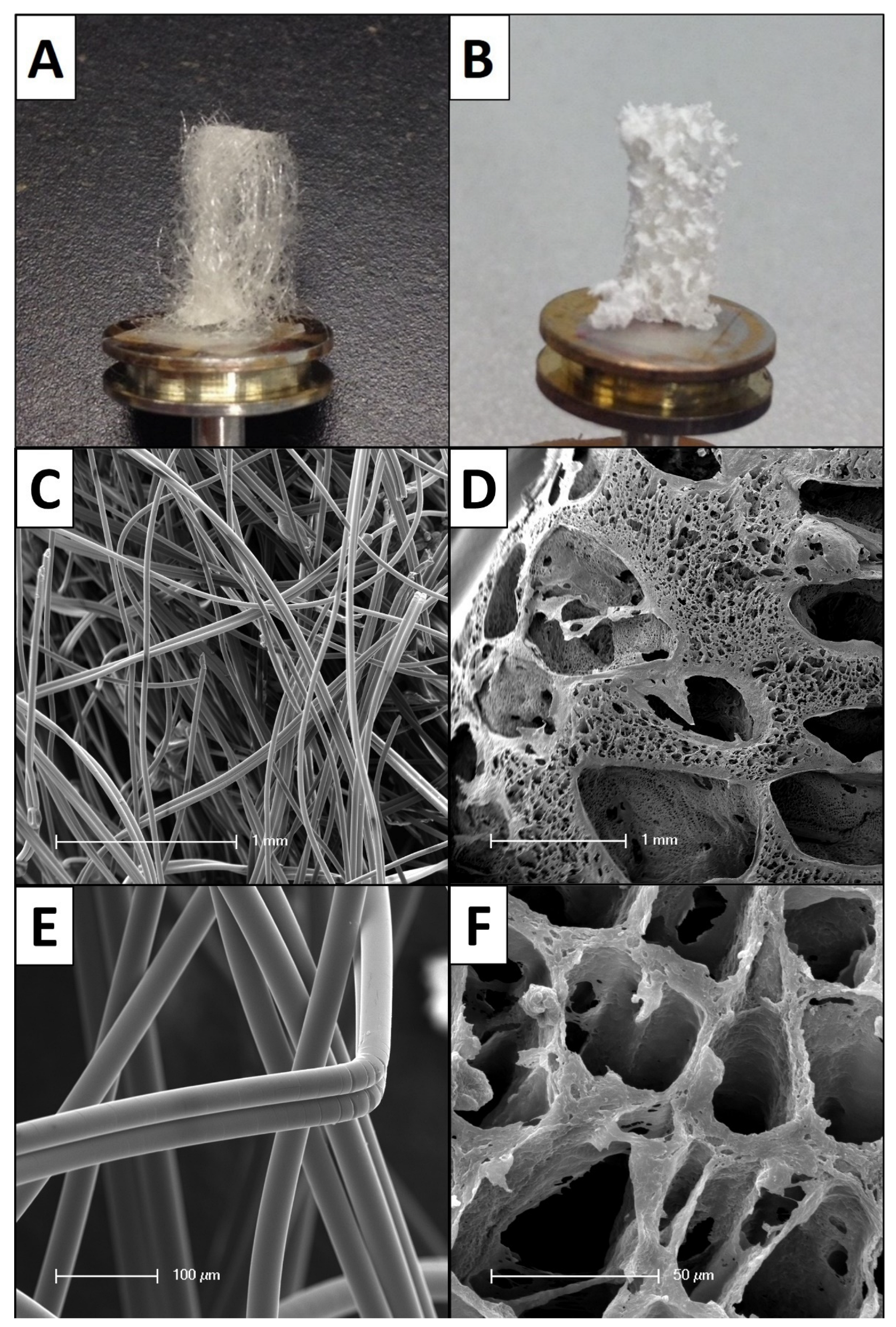 Cells 11 02834 g001 550