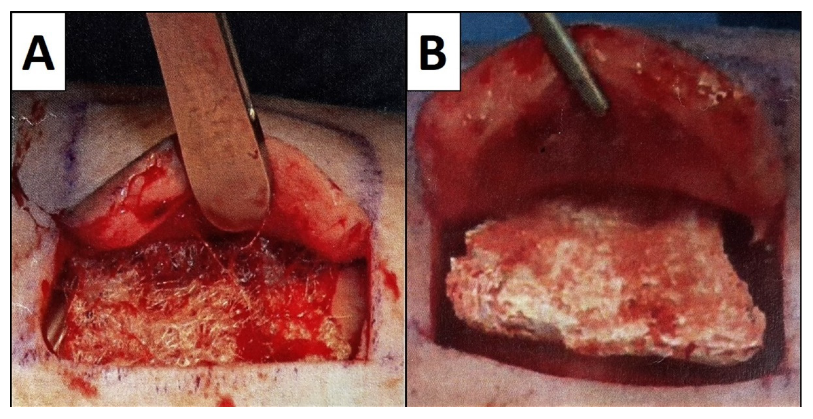 Cells 11 02834 g002 550