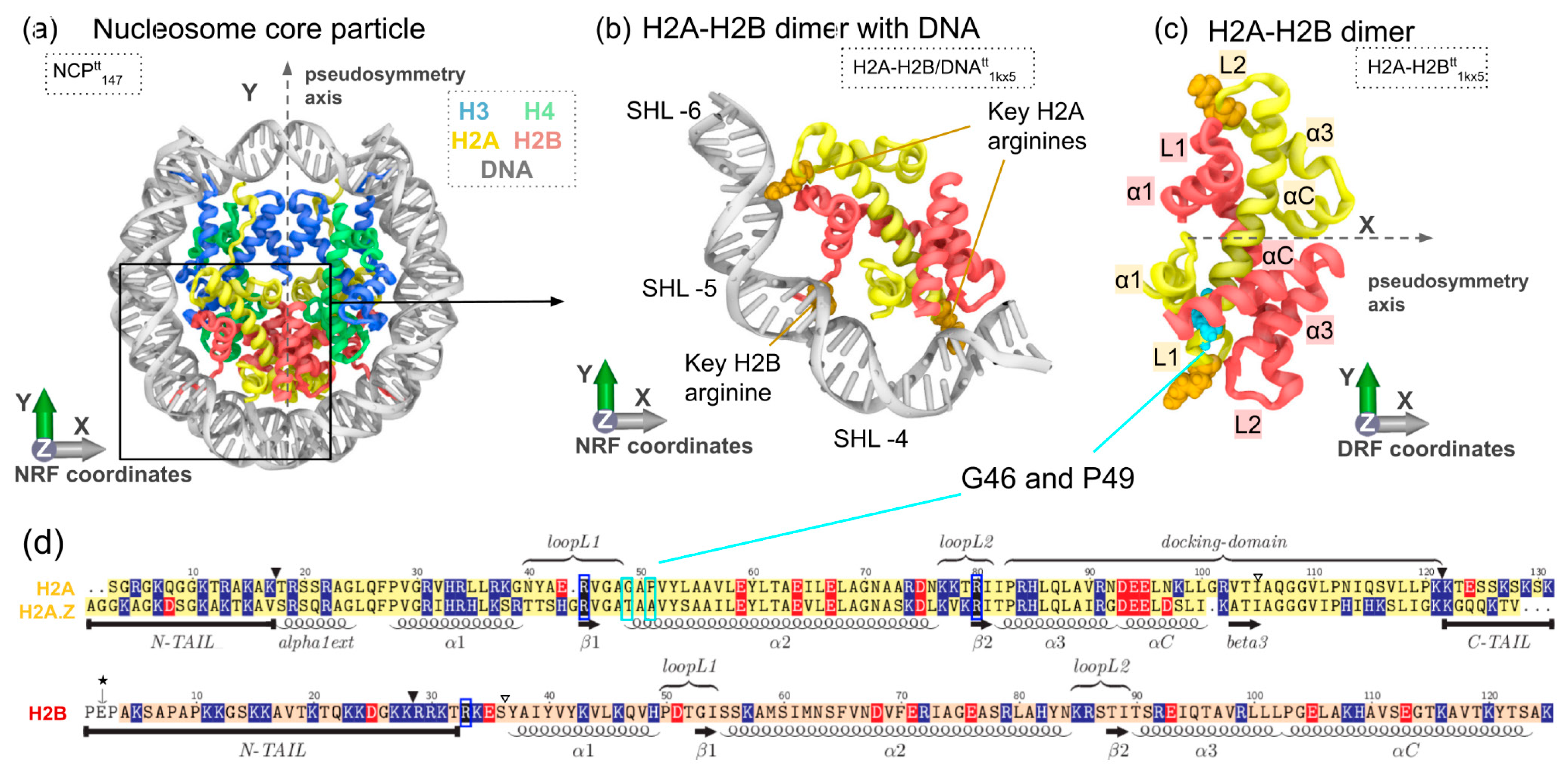 Cells 11 02837 g001 550