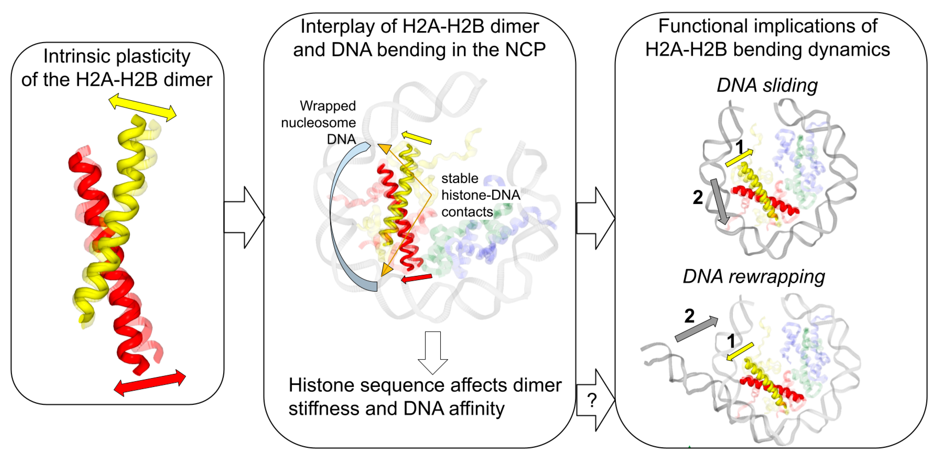 Cells 11 02837 g006 550