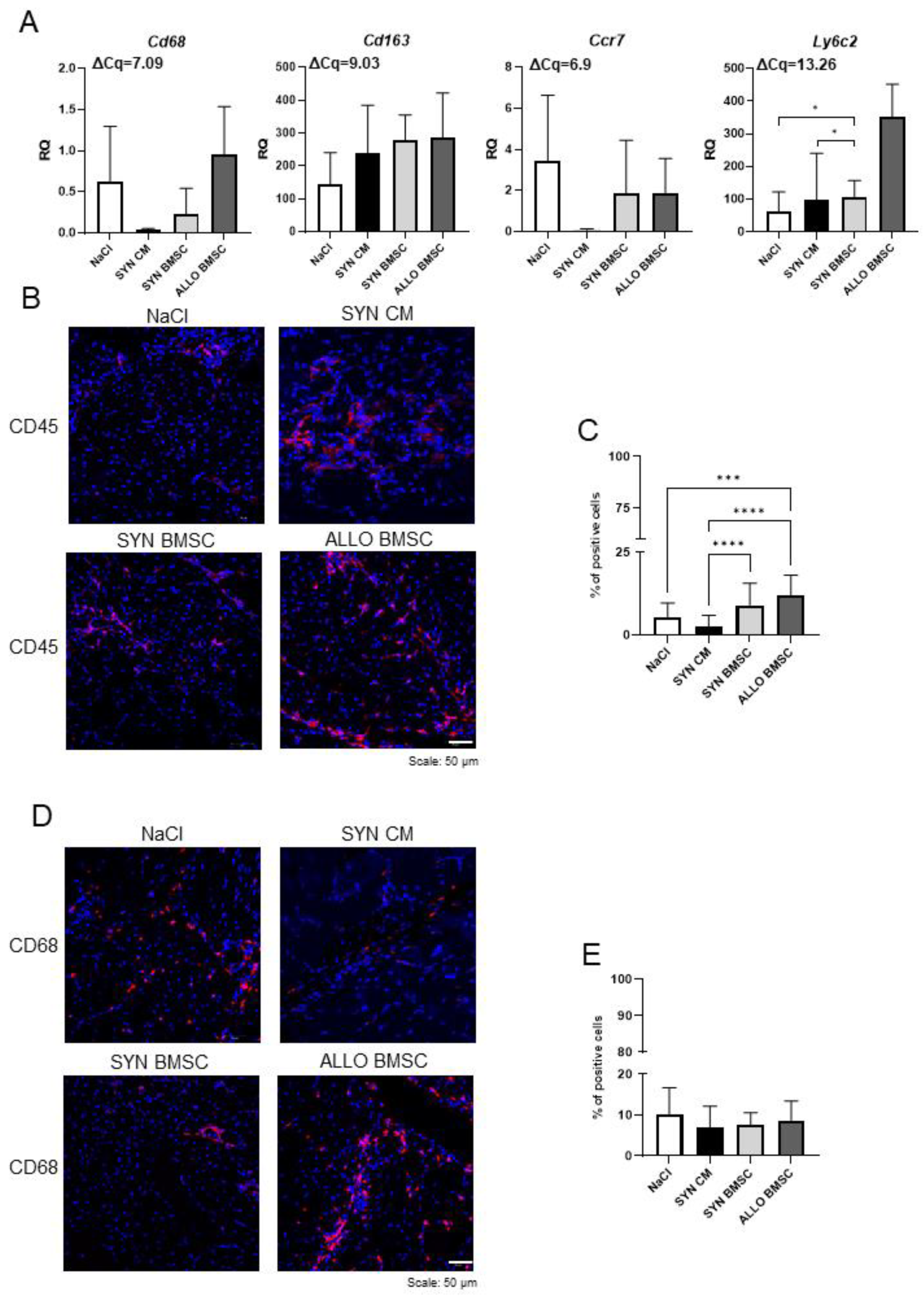 Cells 11 02843 g004 550