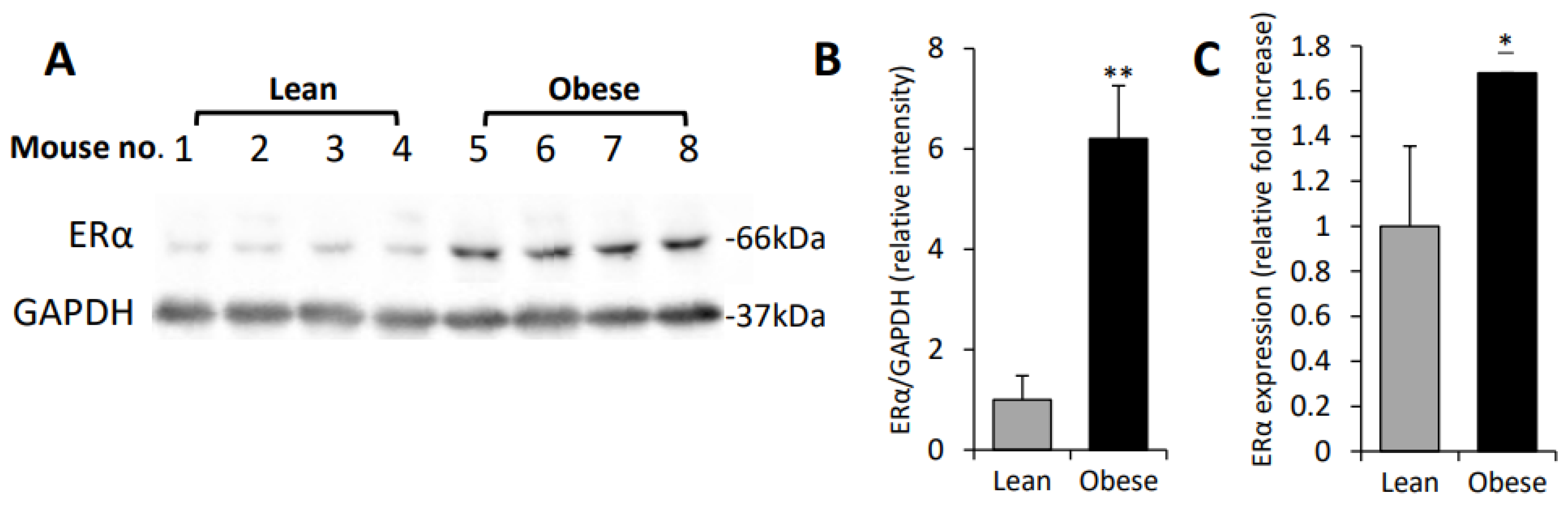 Cells 11 02844 g001 550