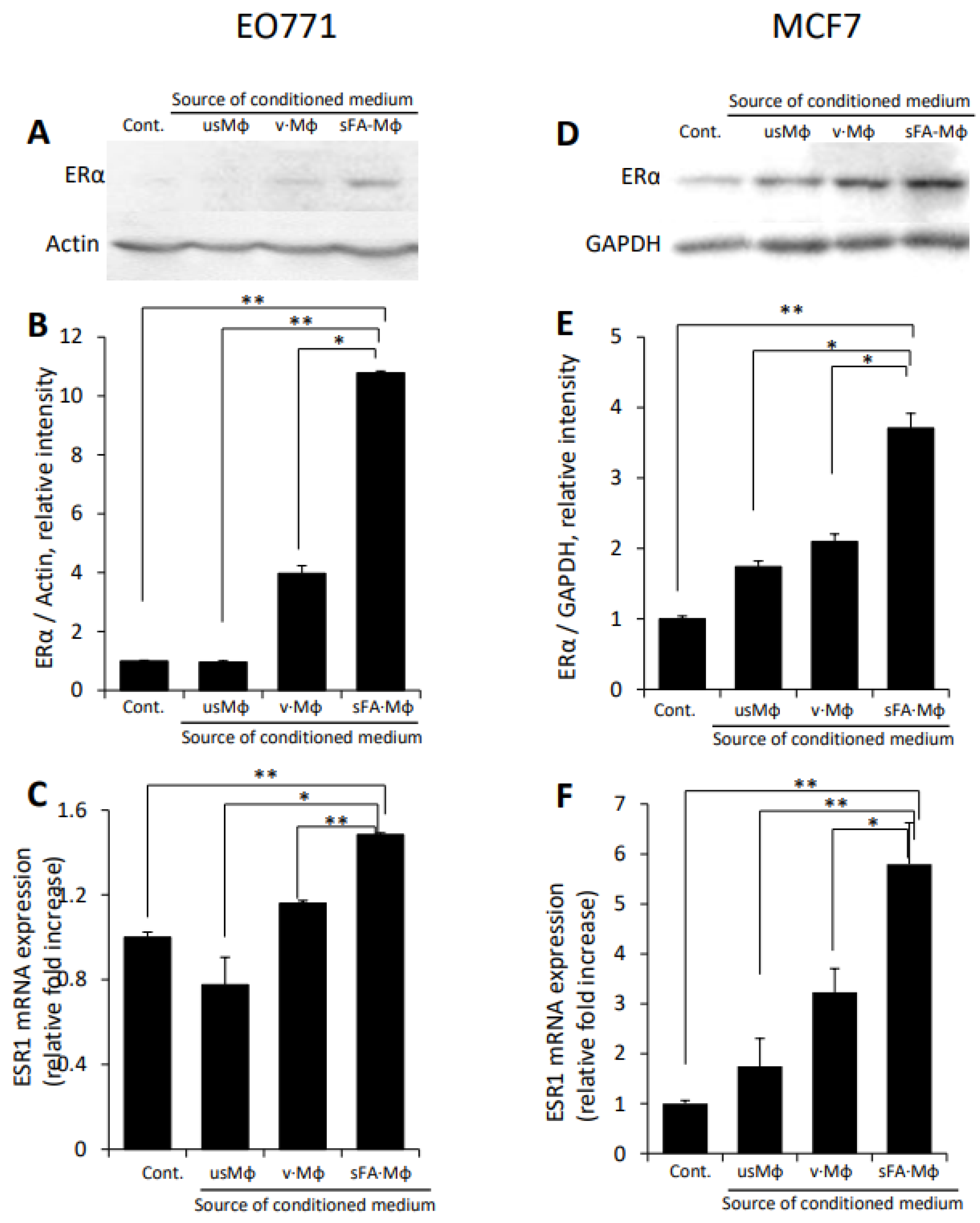 Cells 11 02844 g002 550