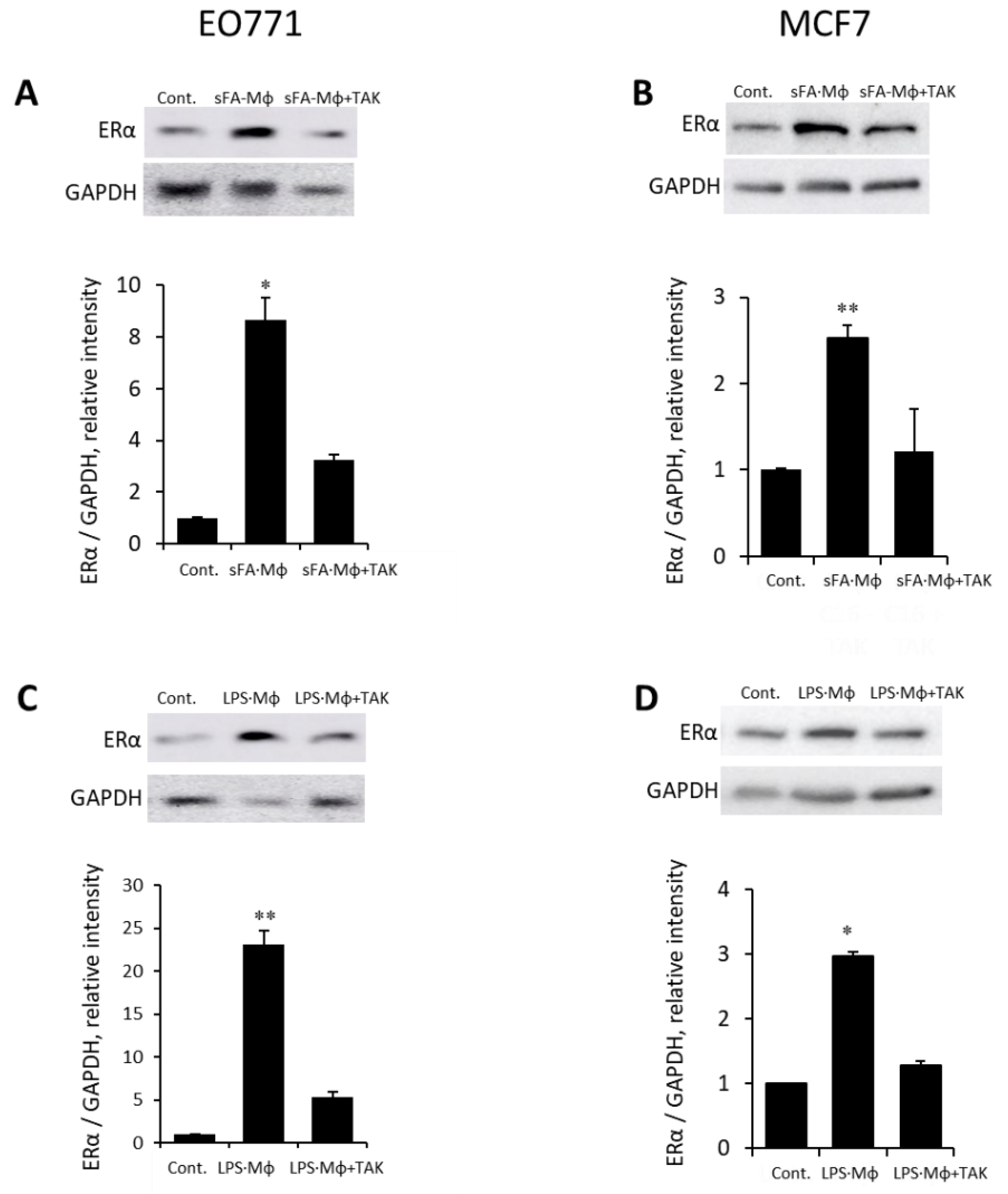 Cells 11 02844 g003 550