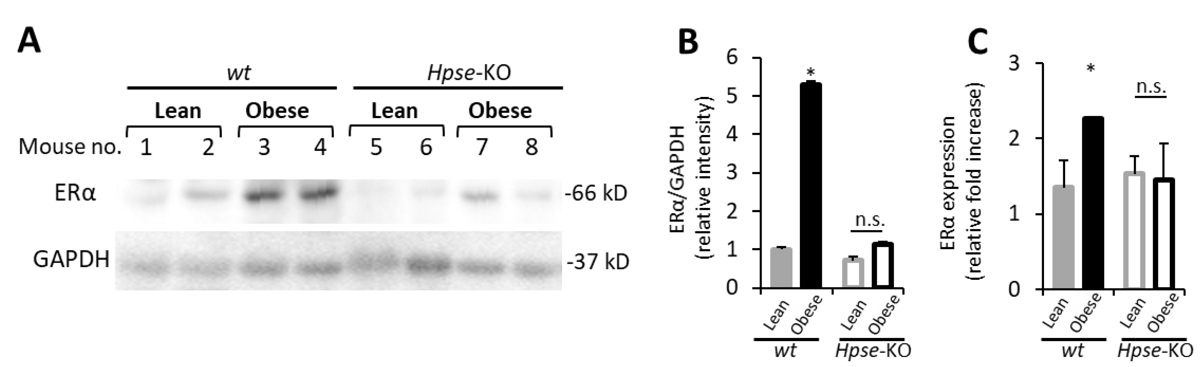 Cells 11 02844 g005 550