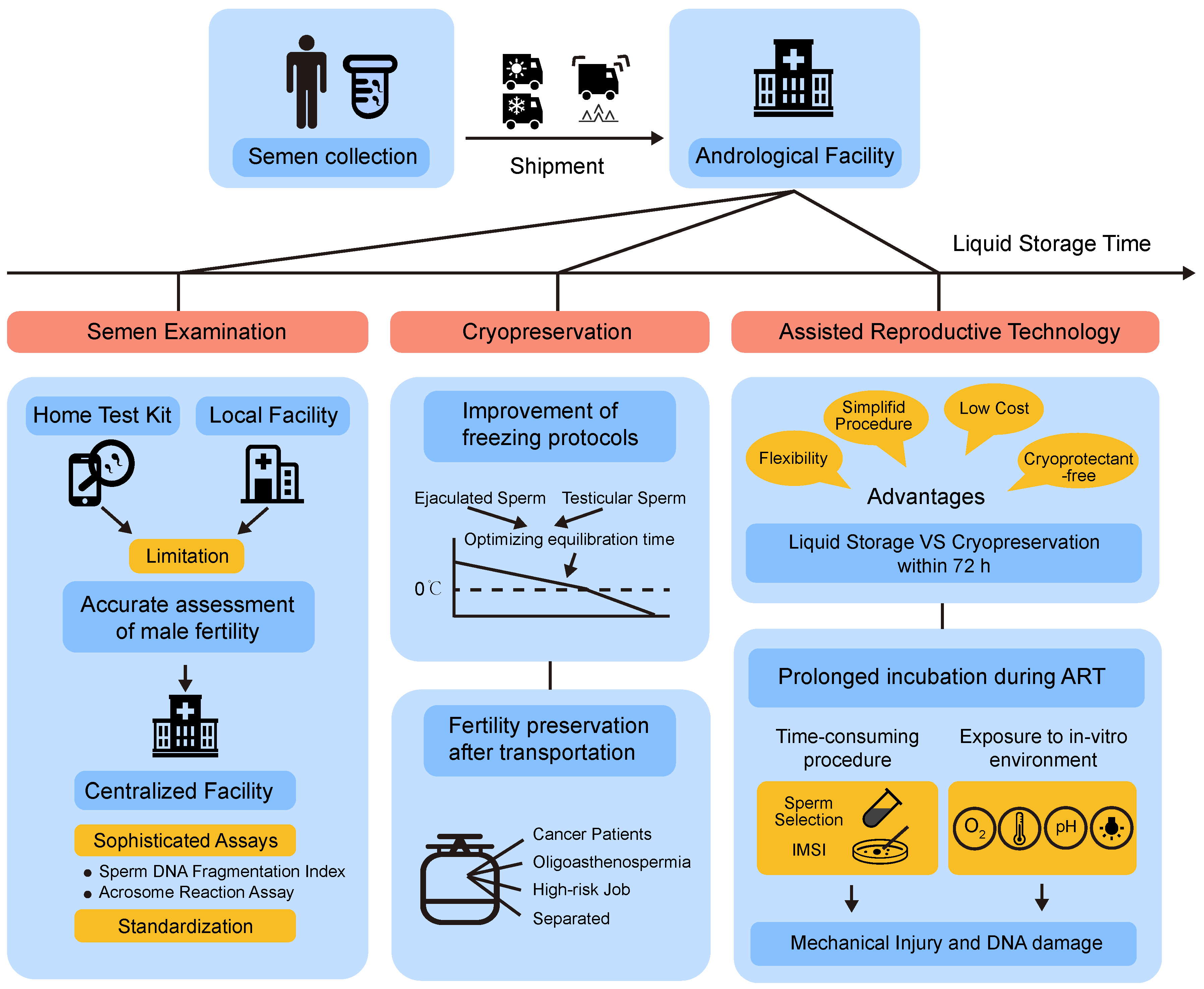 Cells 11 02845 g001 Cells 11 02845 g001