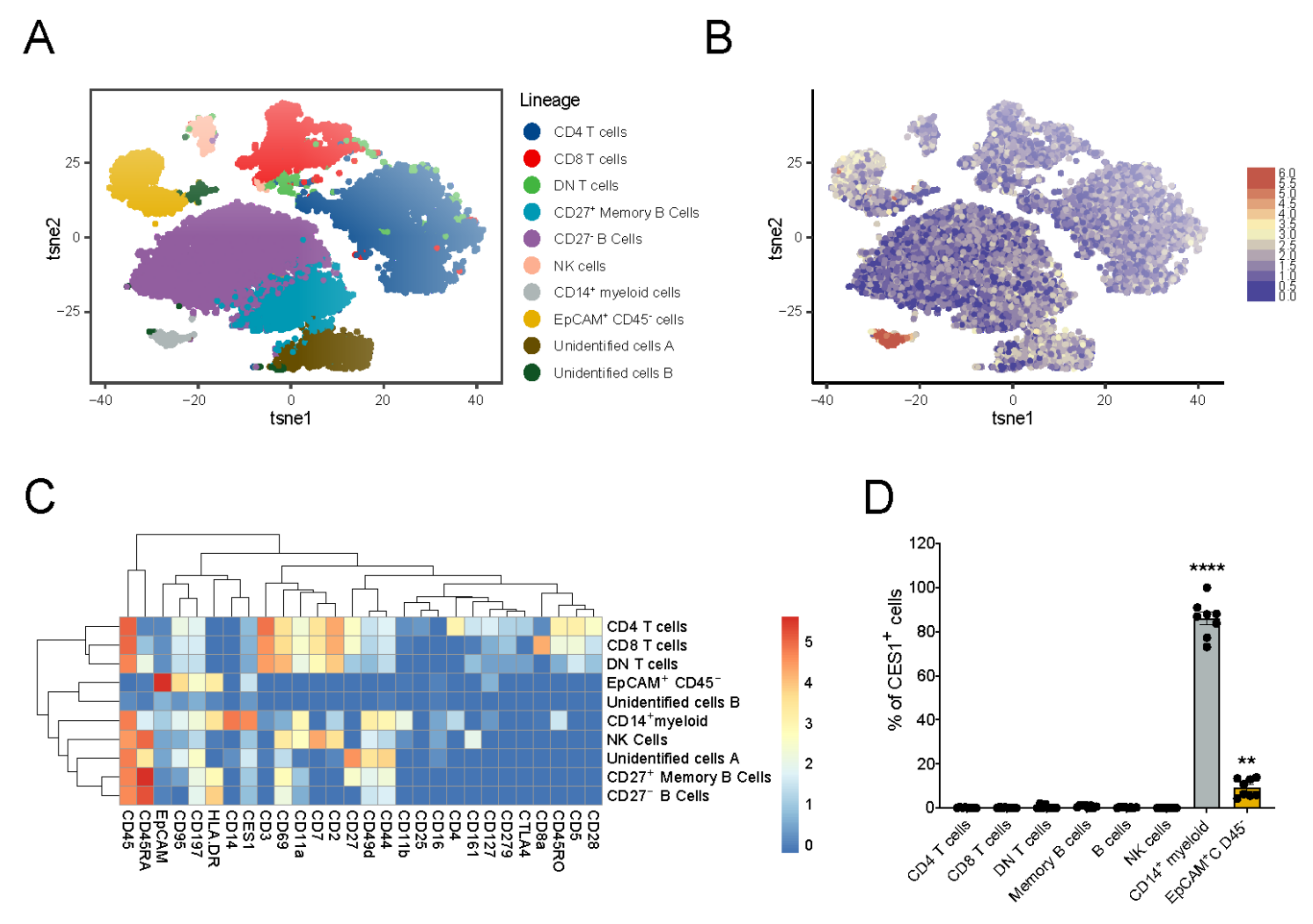 Cells 11 02846 g001 550