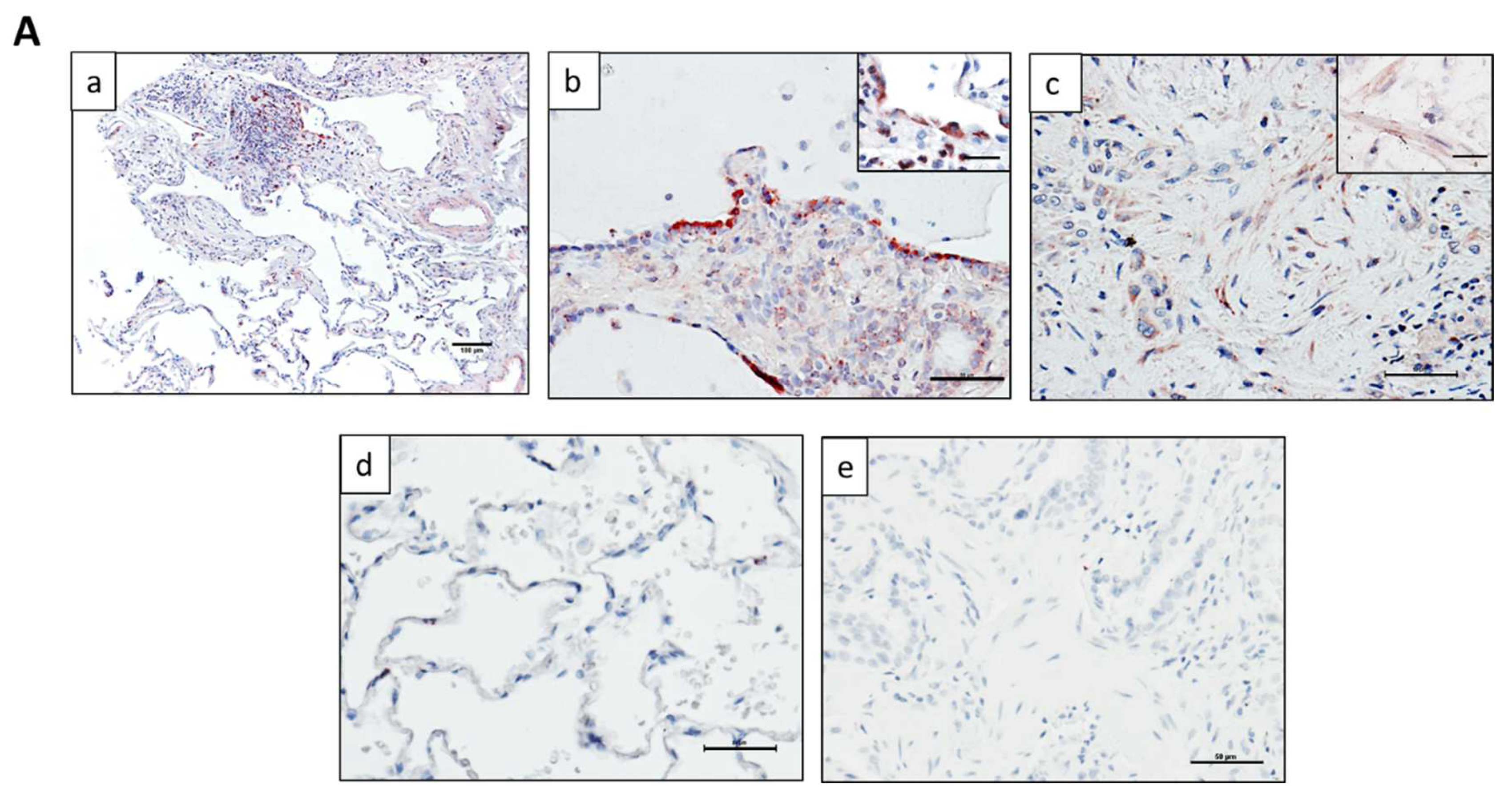 Cells 11 02848 g001a