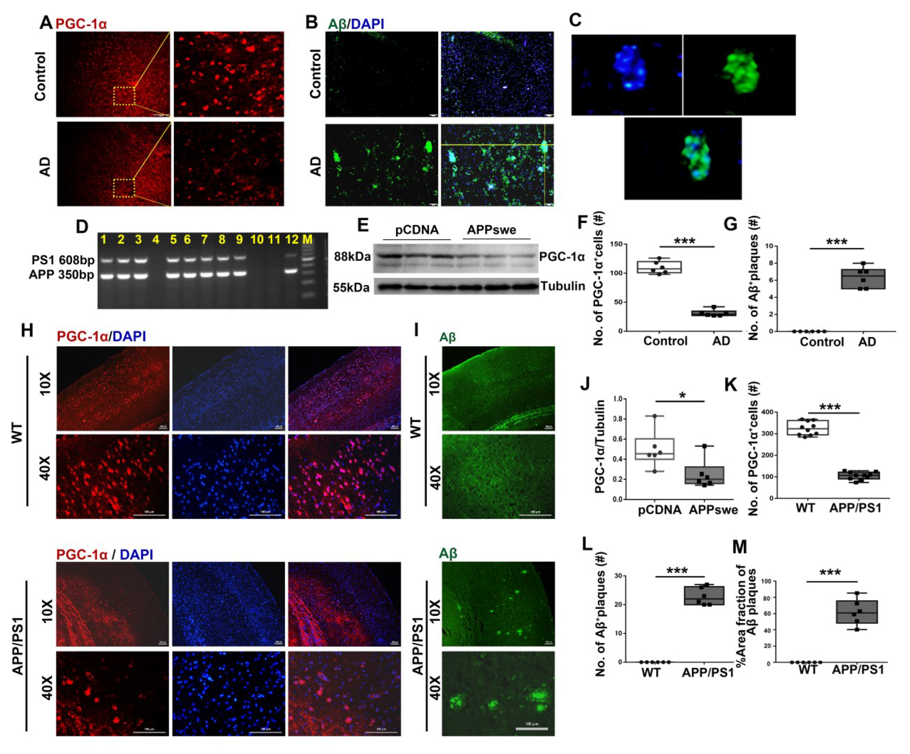 Cells 11 02849 g001 550