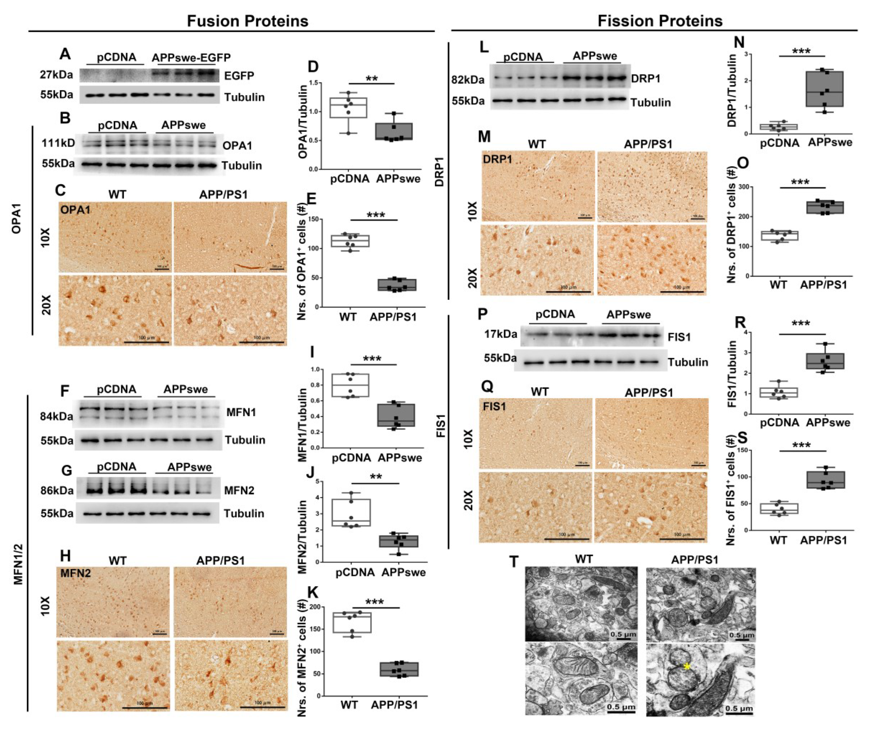 Cells 11 02849 g002 550