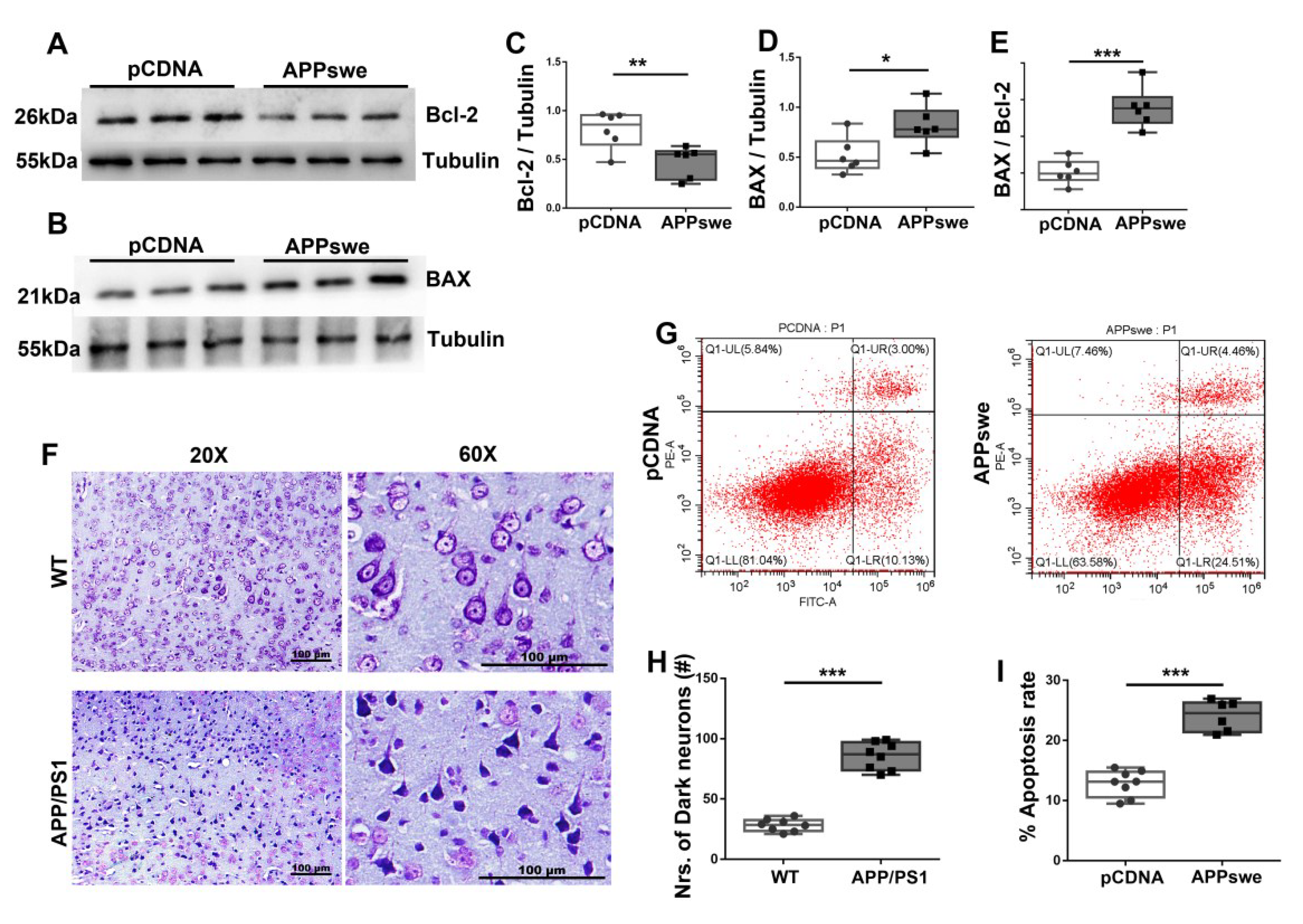 Cells 11 02849 g003 550