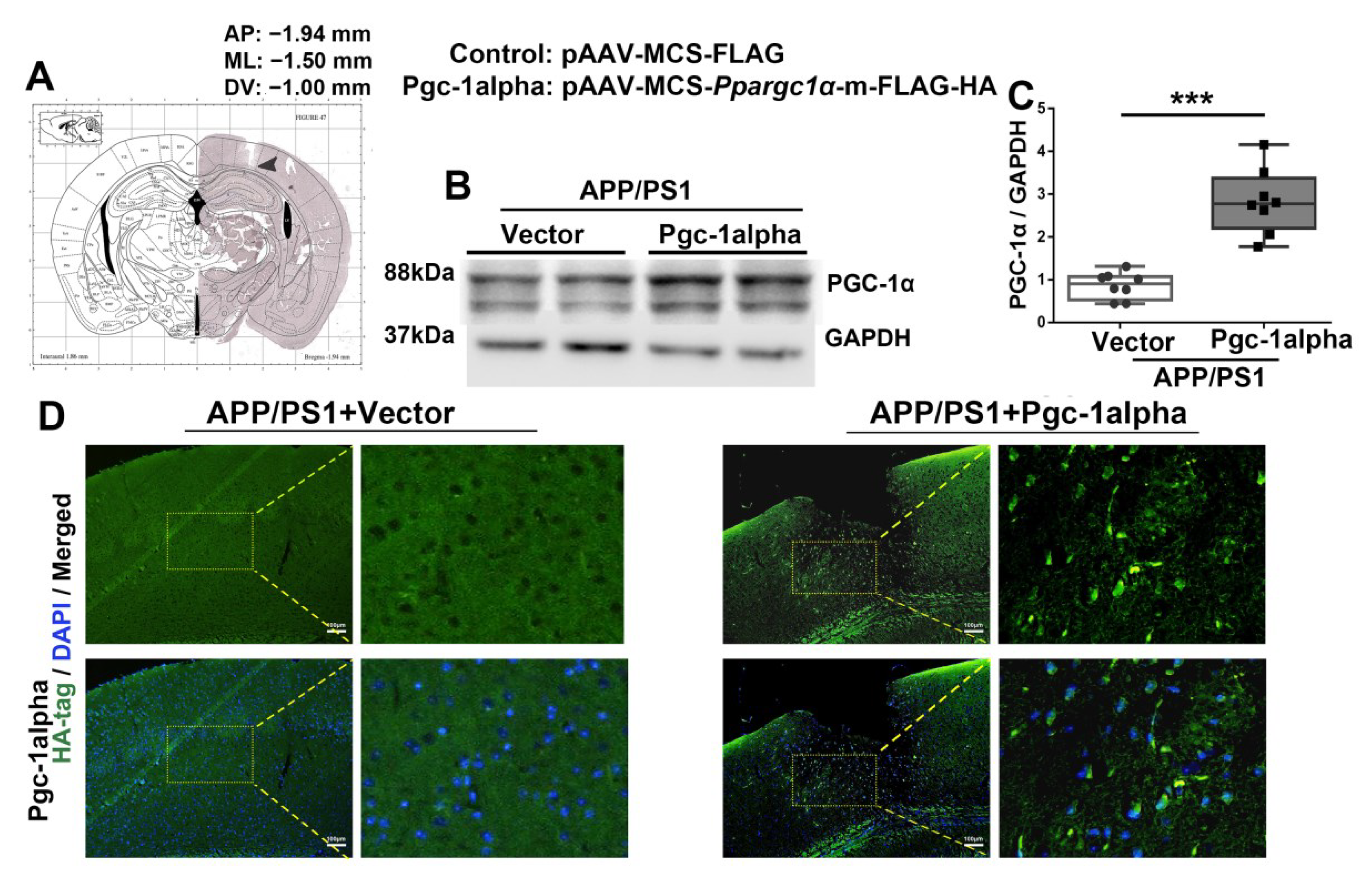 Cells 11 02849 g006 550