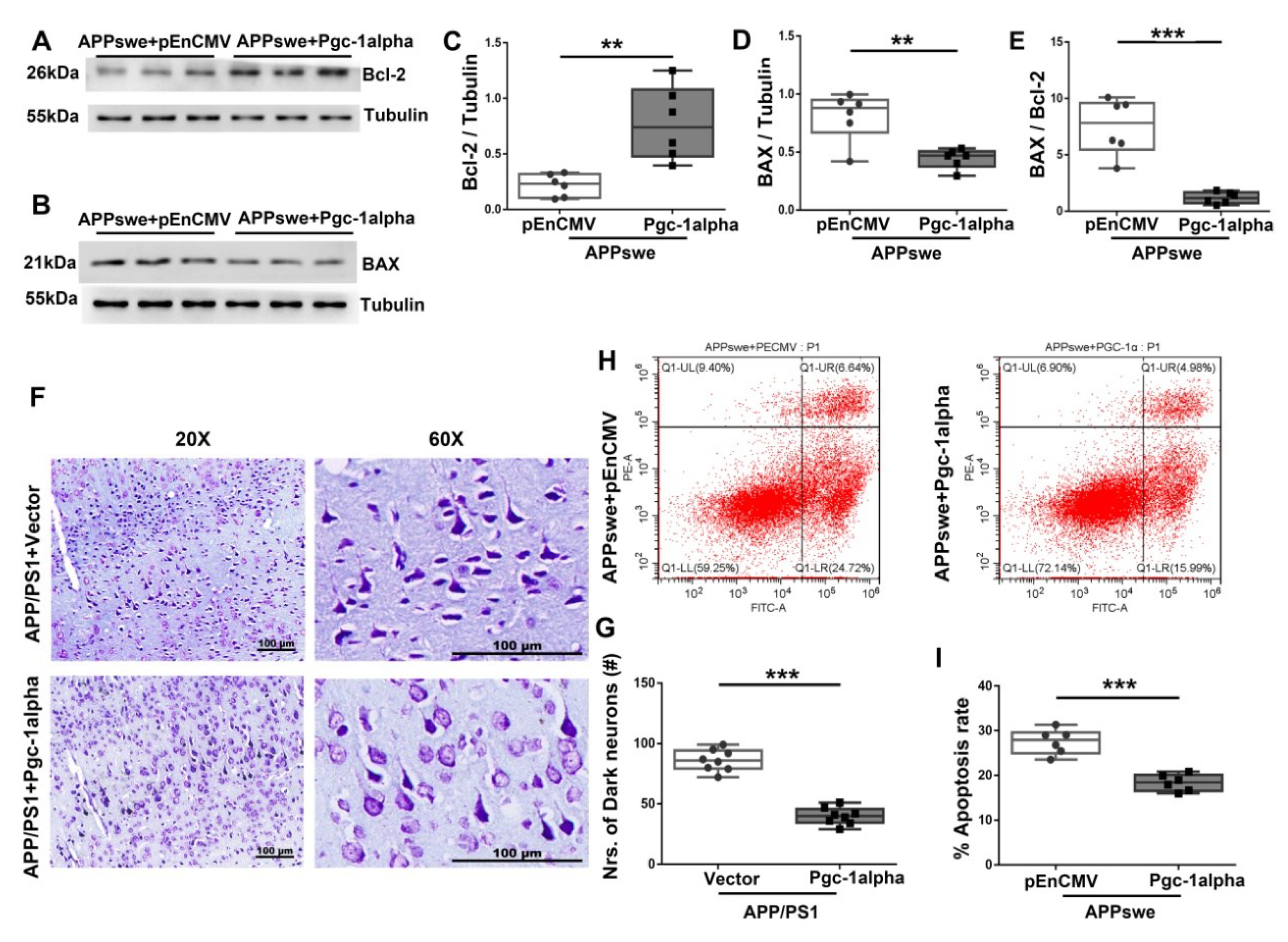 Cells 11 02849 g008 550