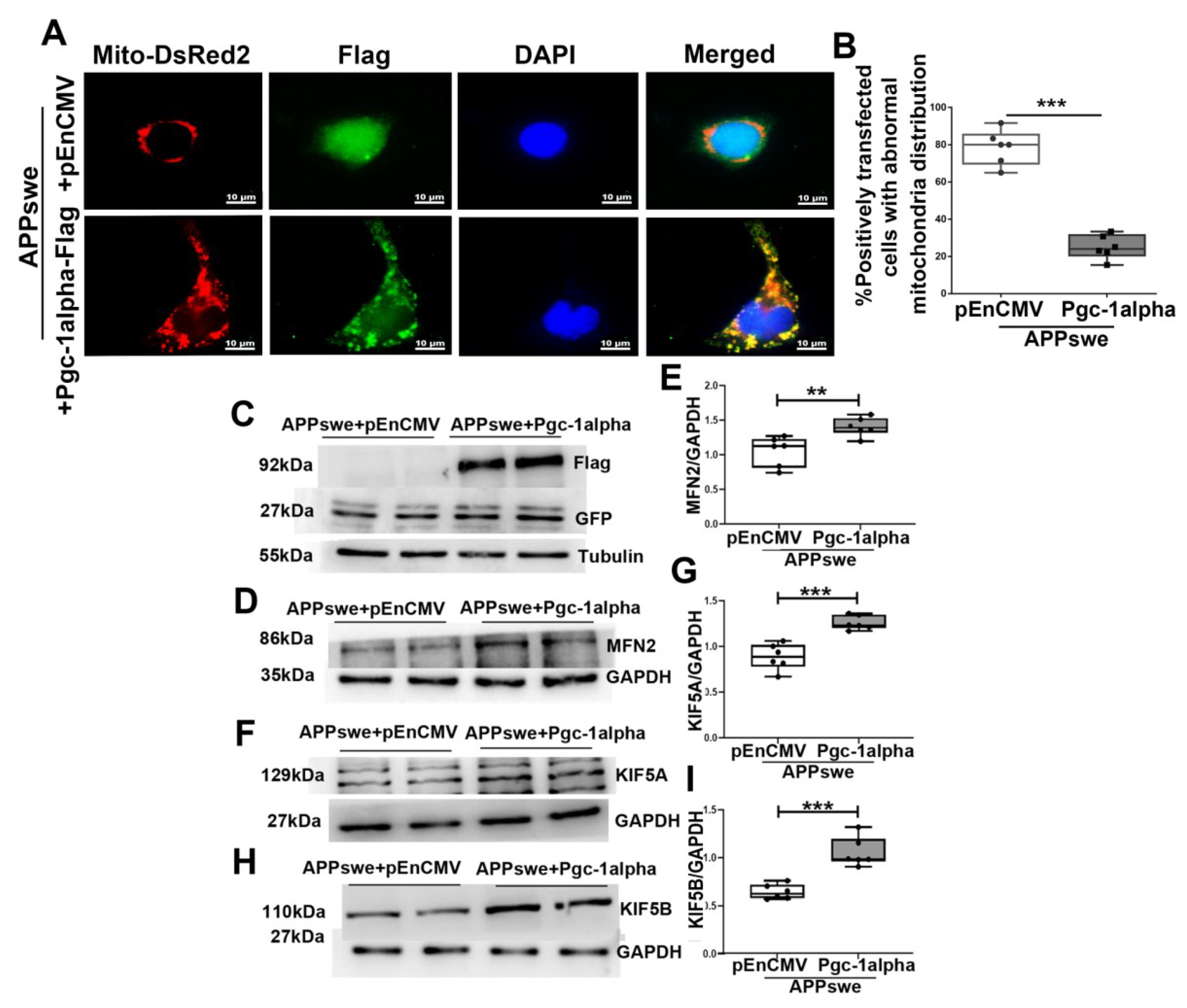 Cells 11 02849 g009 550