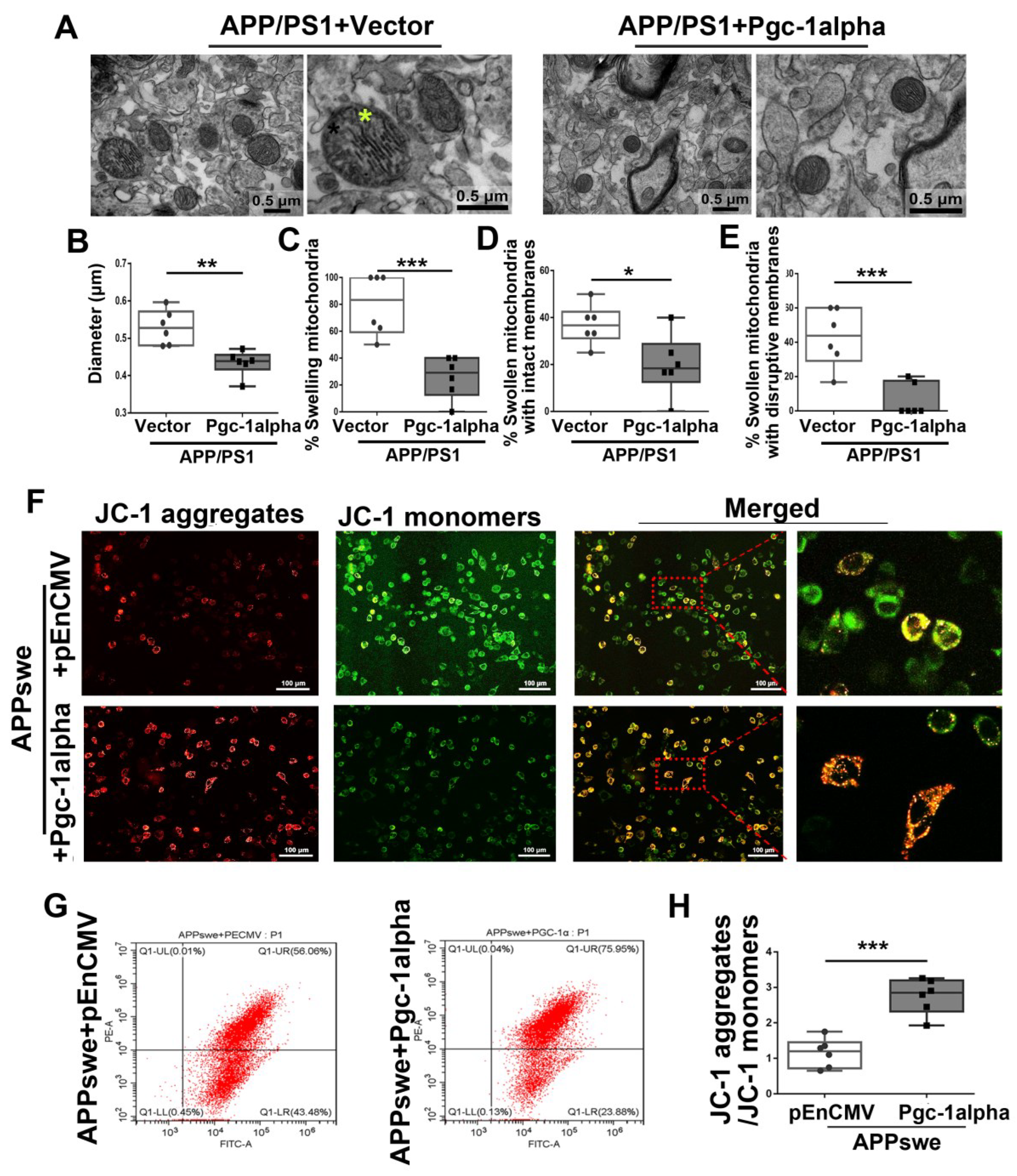 Cells 11 02849 g010 550