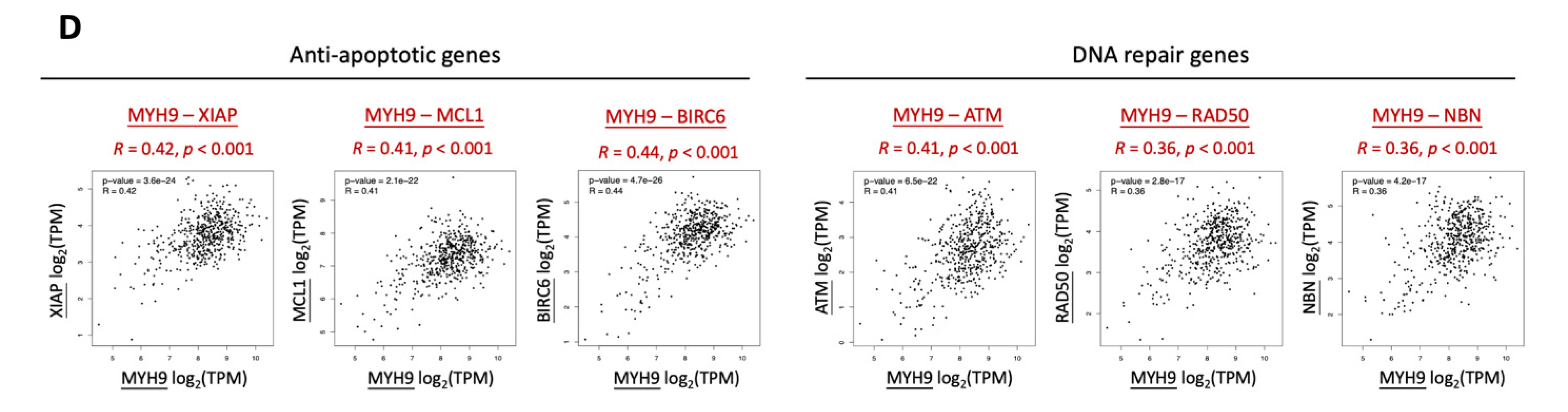 Cells 11 02855 g002b