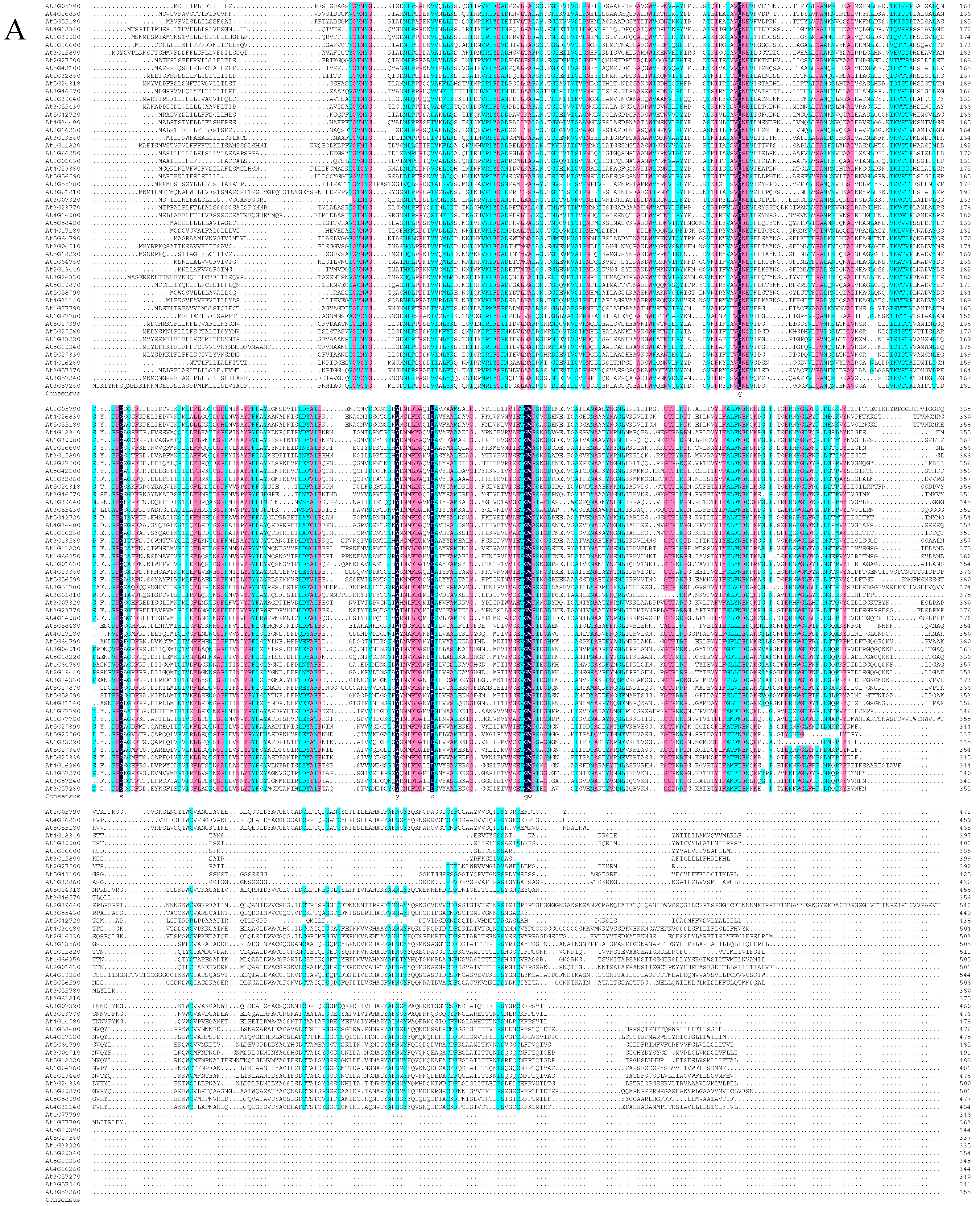 Cells 11 02856 g001a