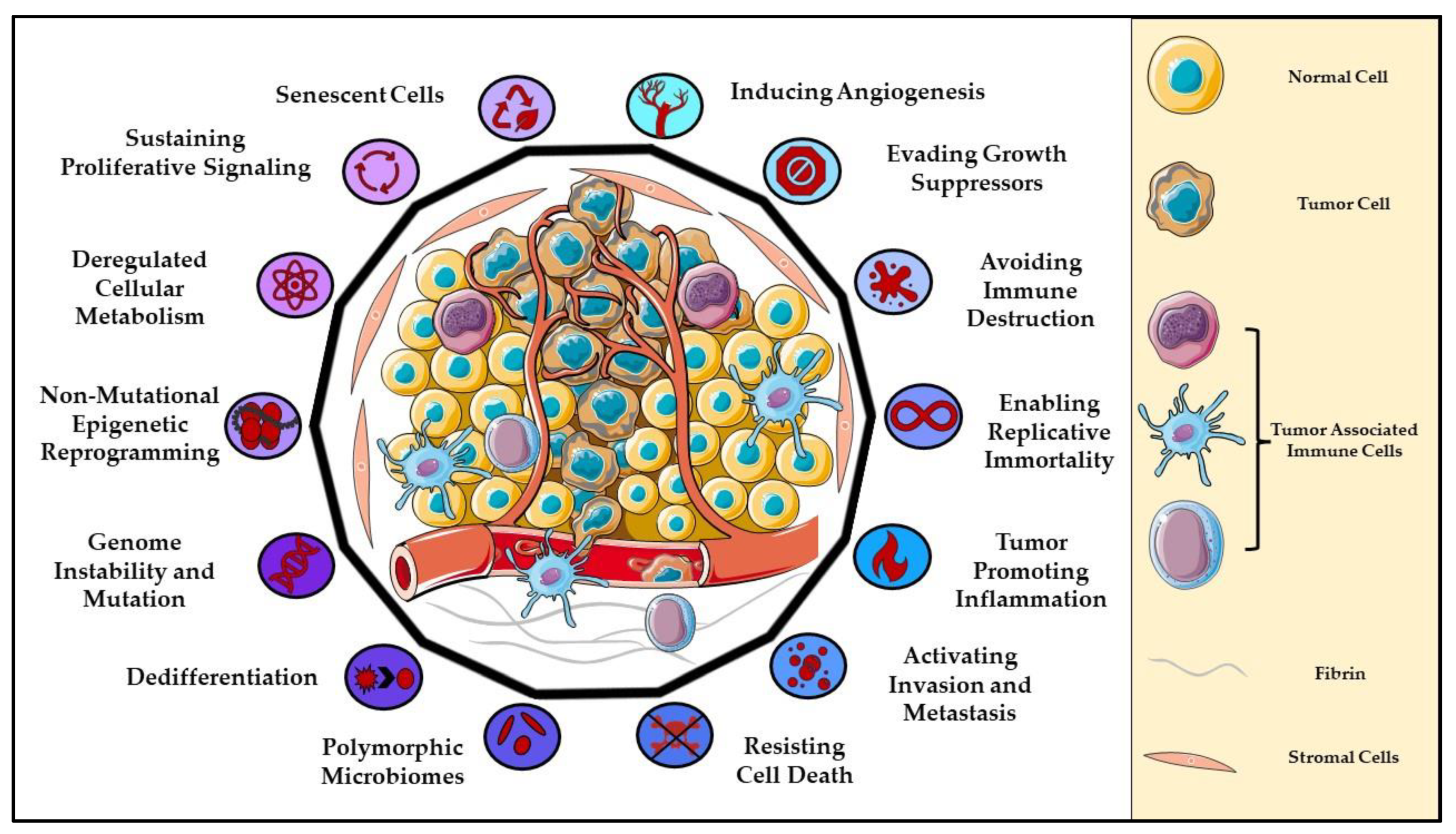 Cells Free Full-Text Implications of a Neuronal Receptor Family, Metabotropic Glutamate Receptors, in Cancer Development and Progression picture image pic