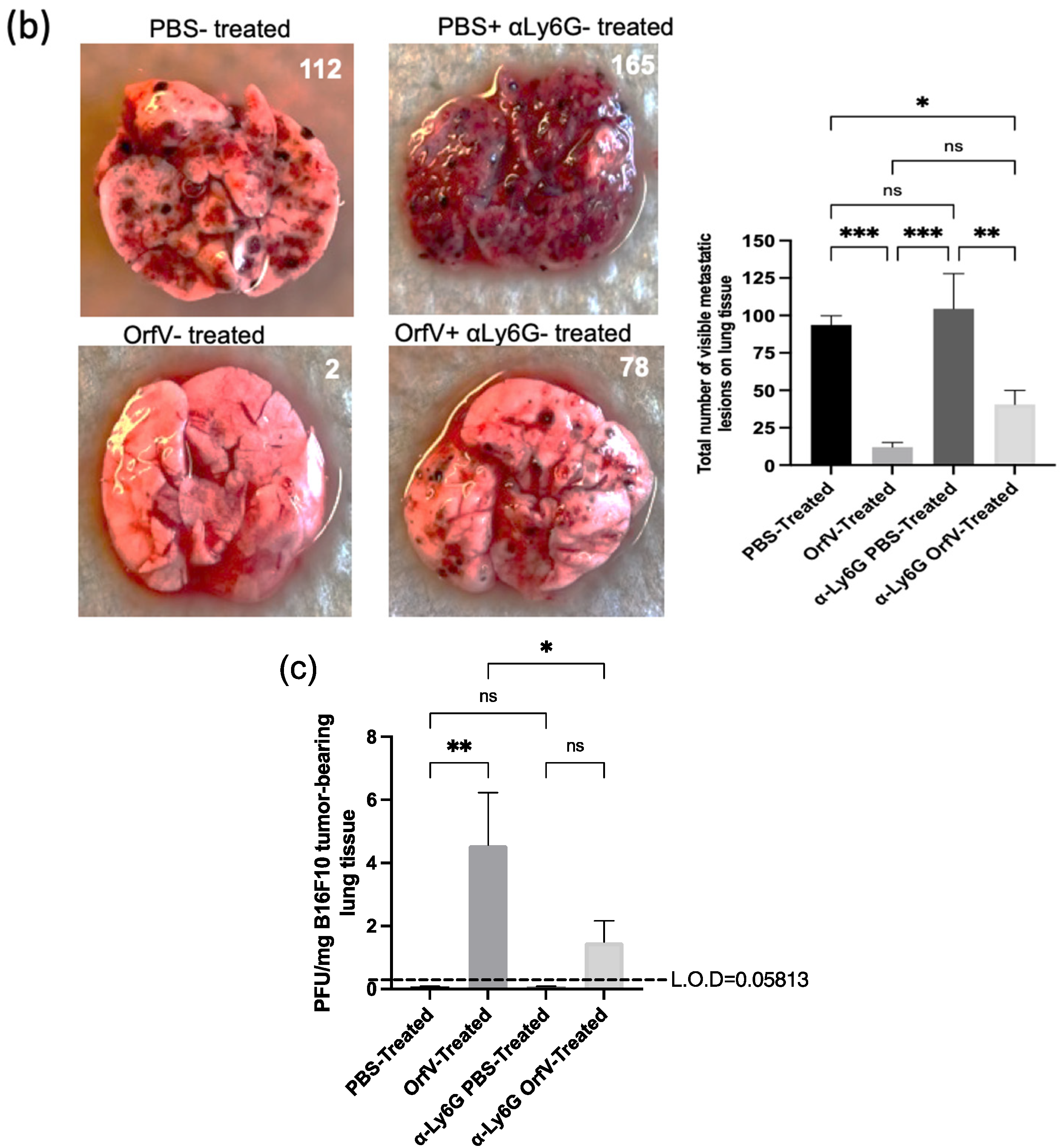 Cells 11 02858 g004b