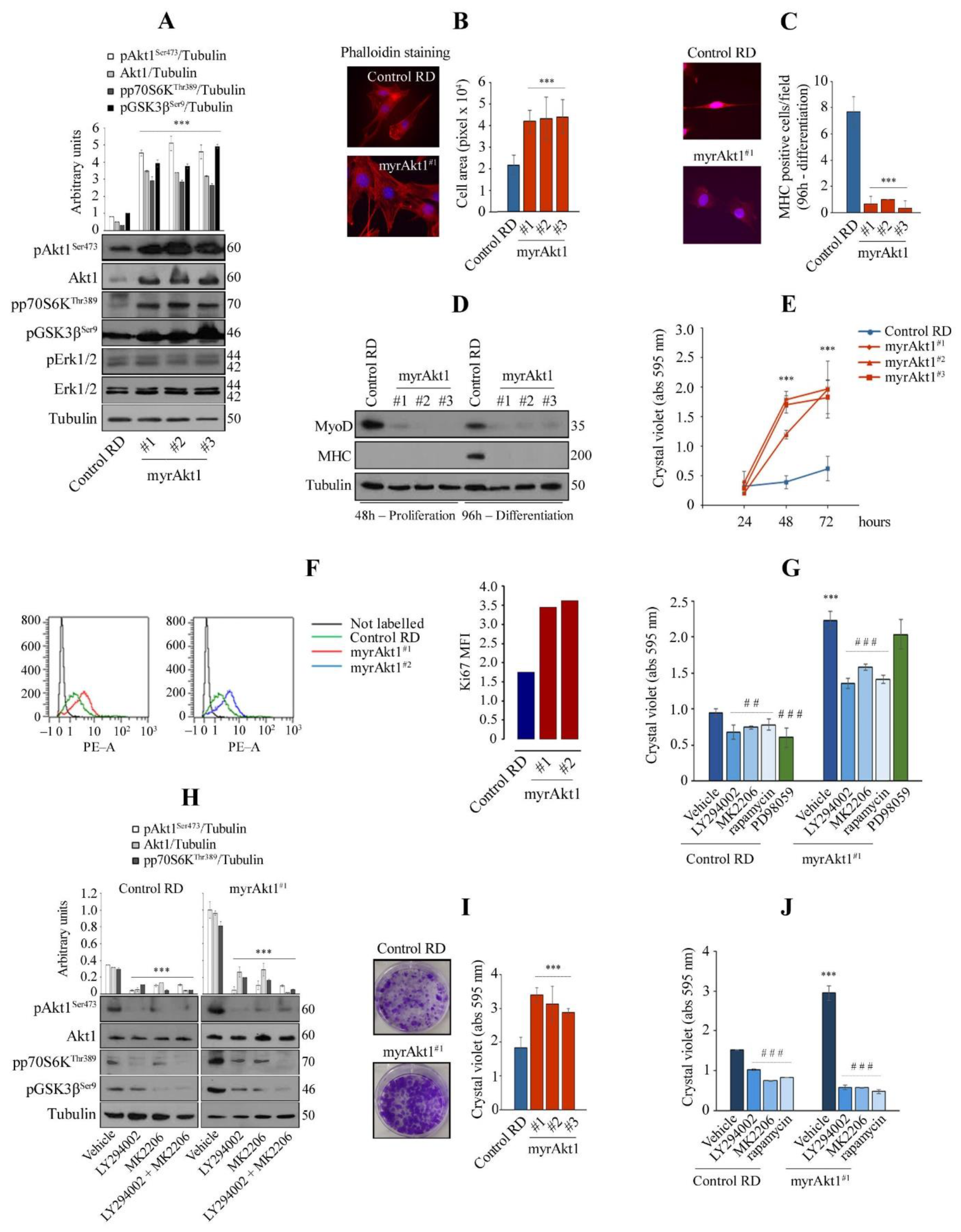 Cells 11 02859 g001 Cells 11 02859 g001
