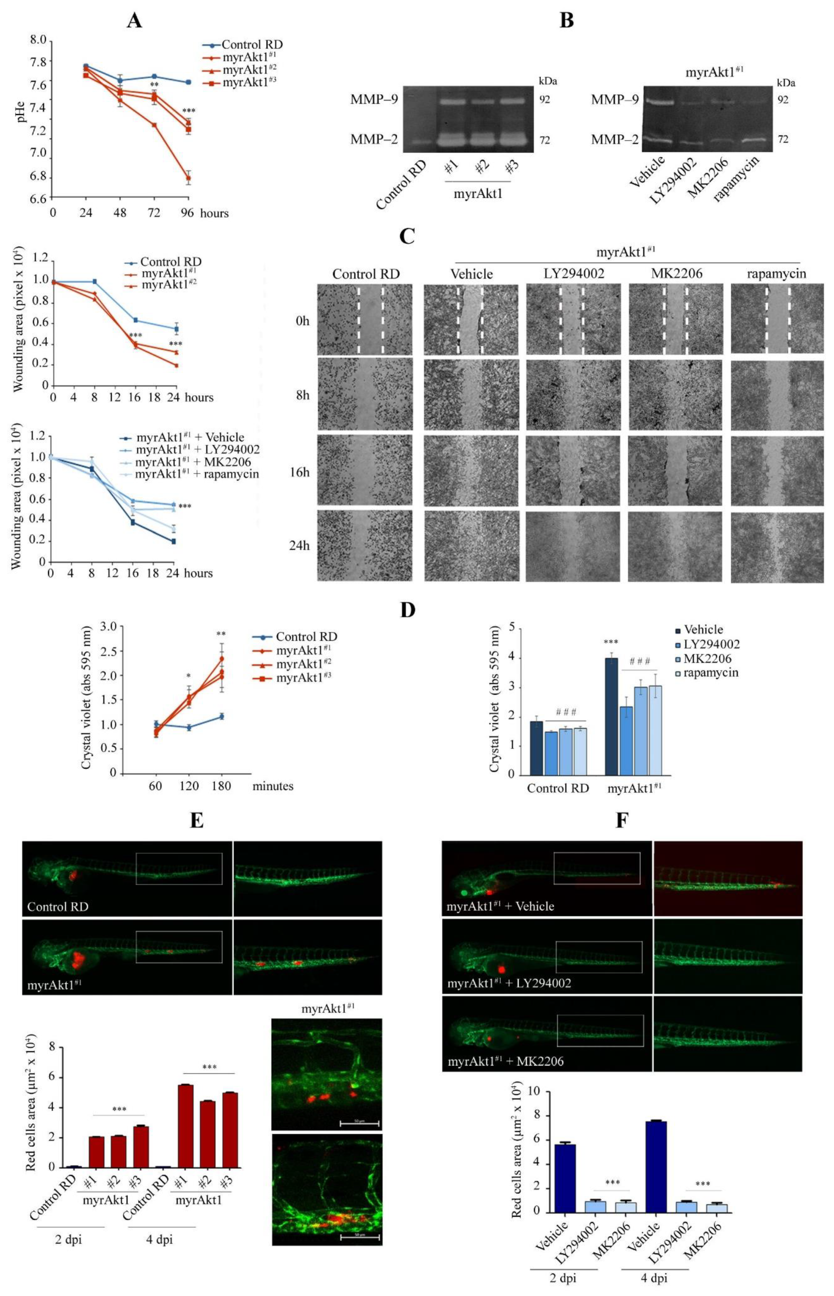 Cells 11 02859 g002 Cells 11 02859 g002