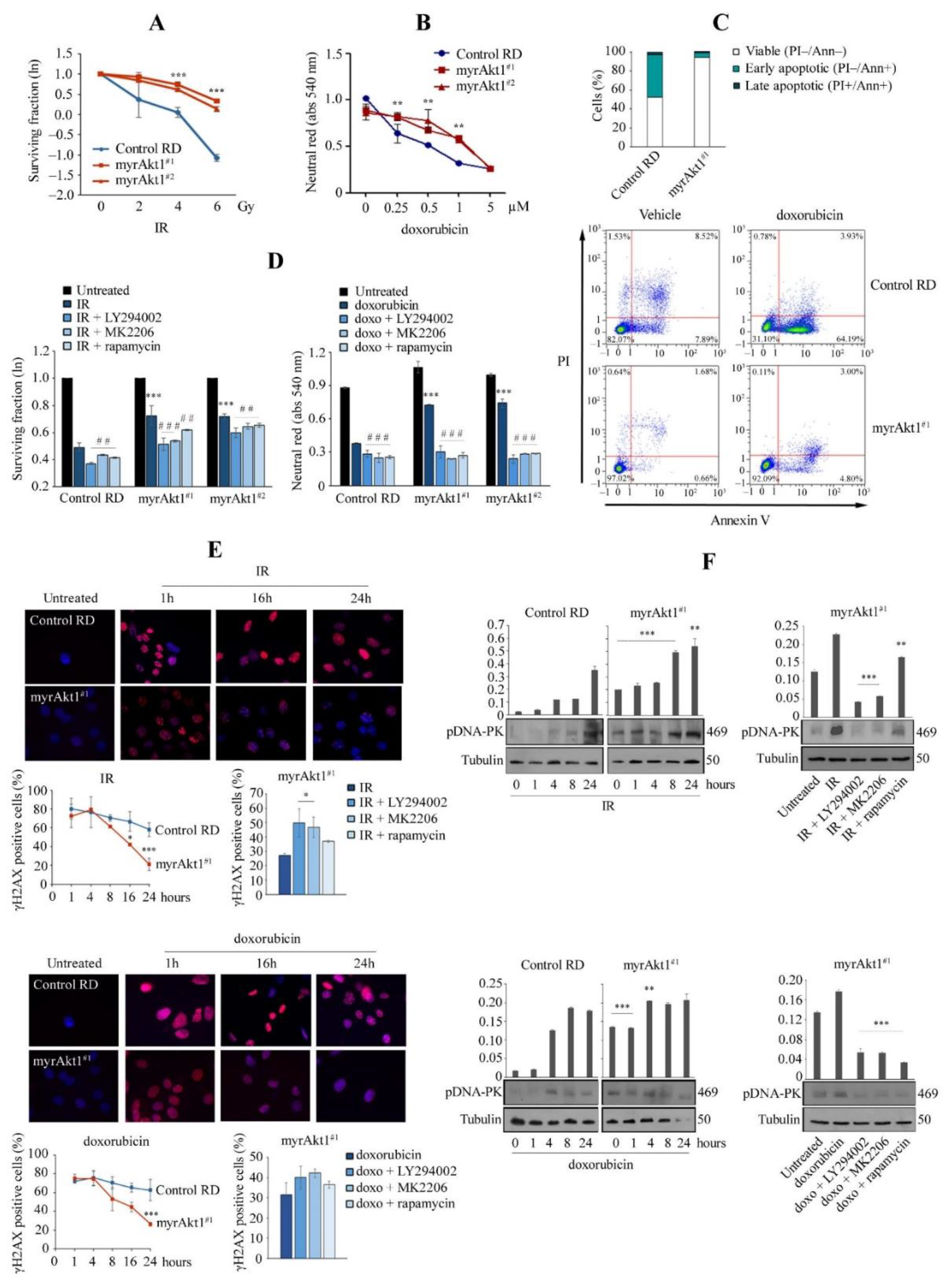Cells 11 02859 g003 Cells 11 02859 g003