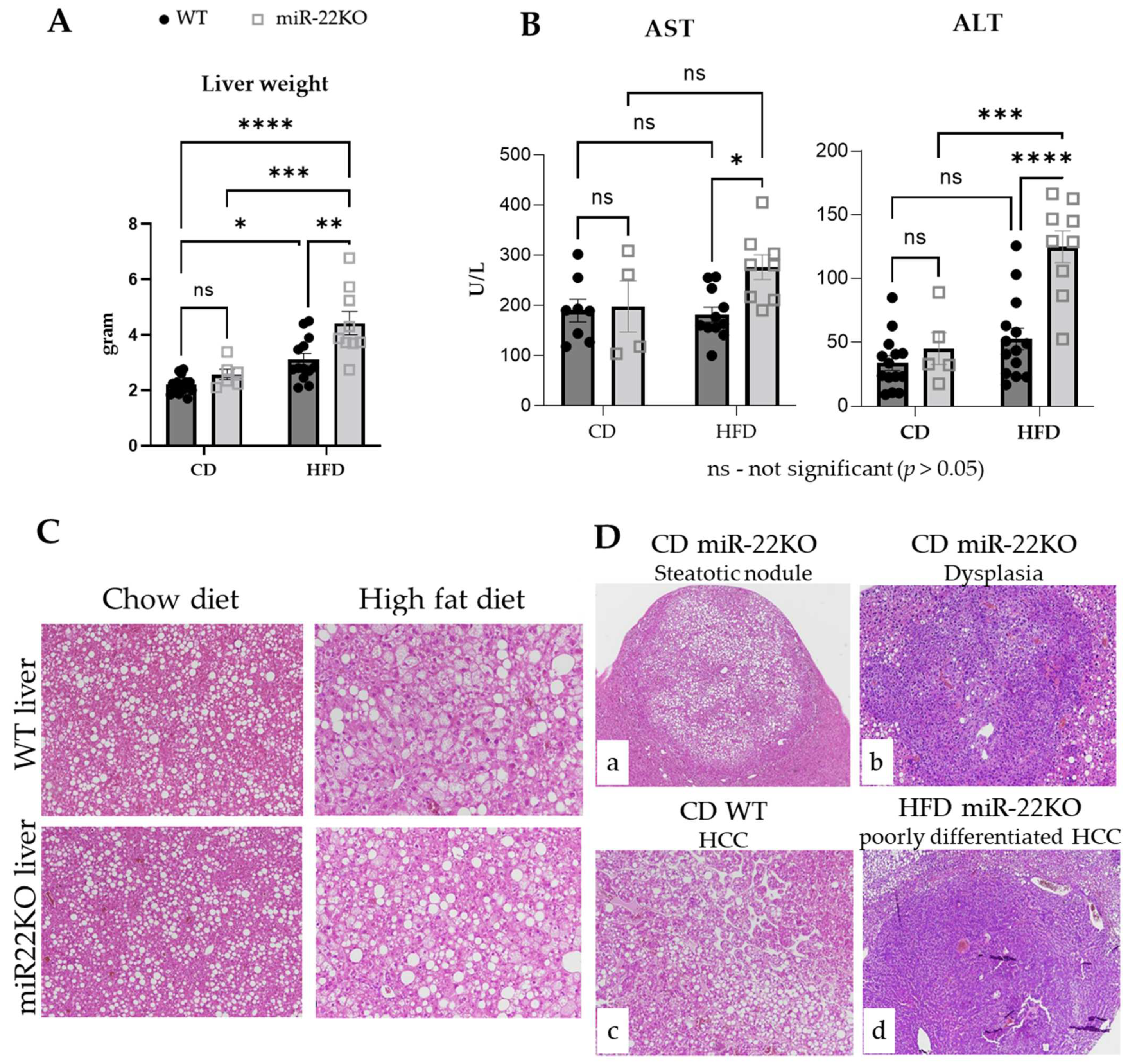 Cells 11 02860 g003 550