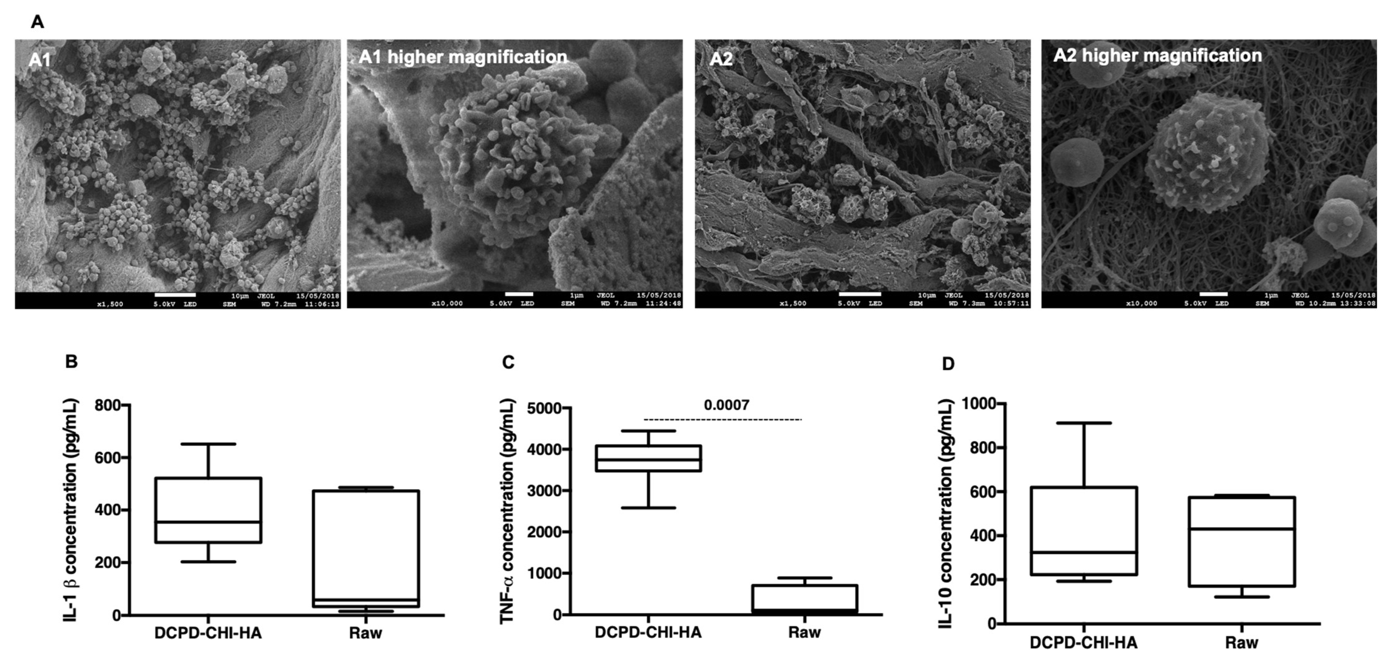 Cells 11 02865 g004 550