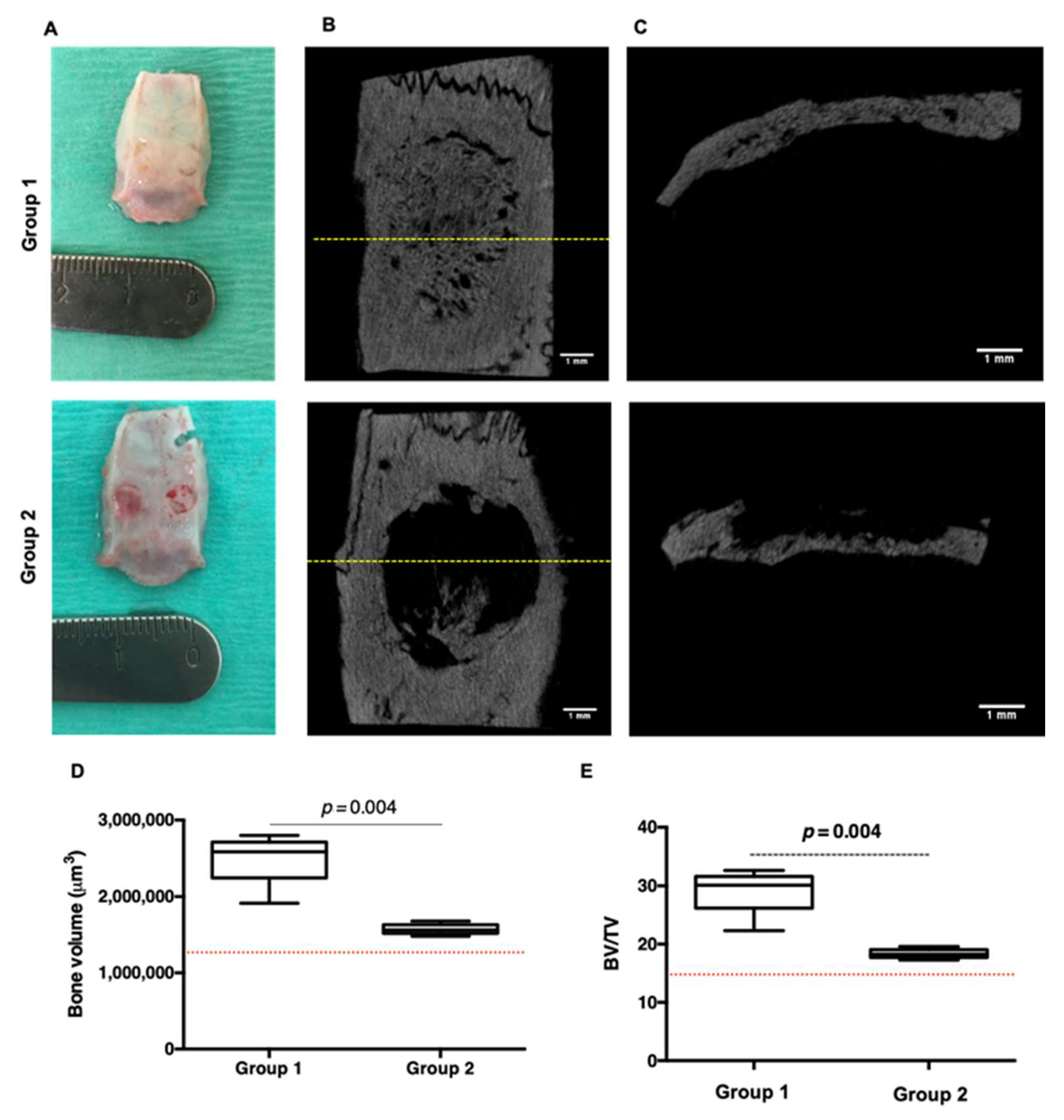 Cells 11 02865 g005 550