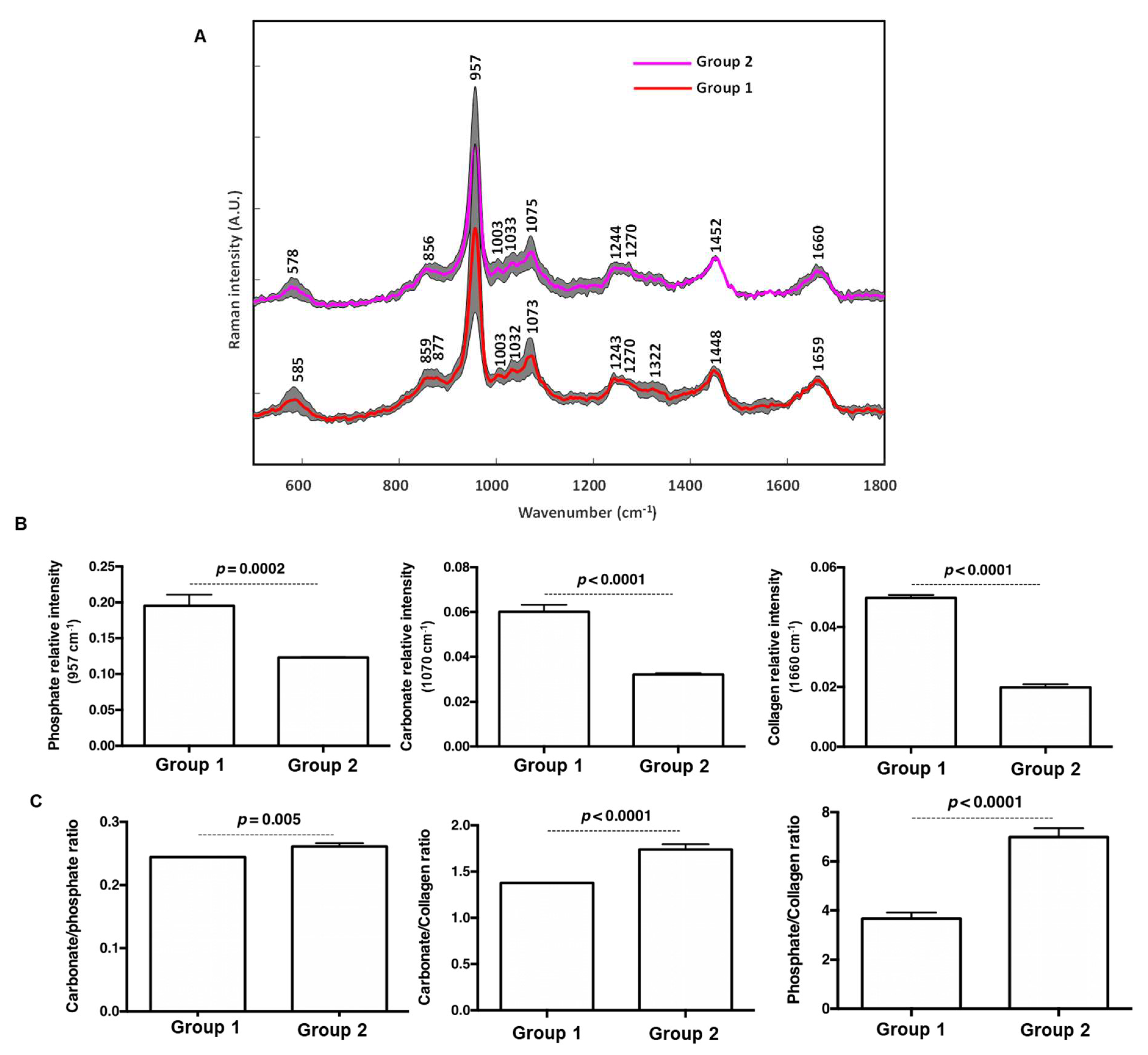 Cells 11 02865 g007 550