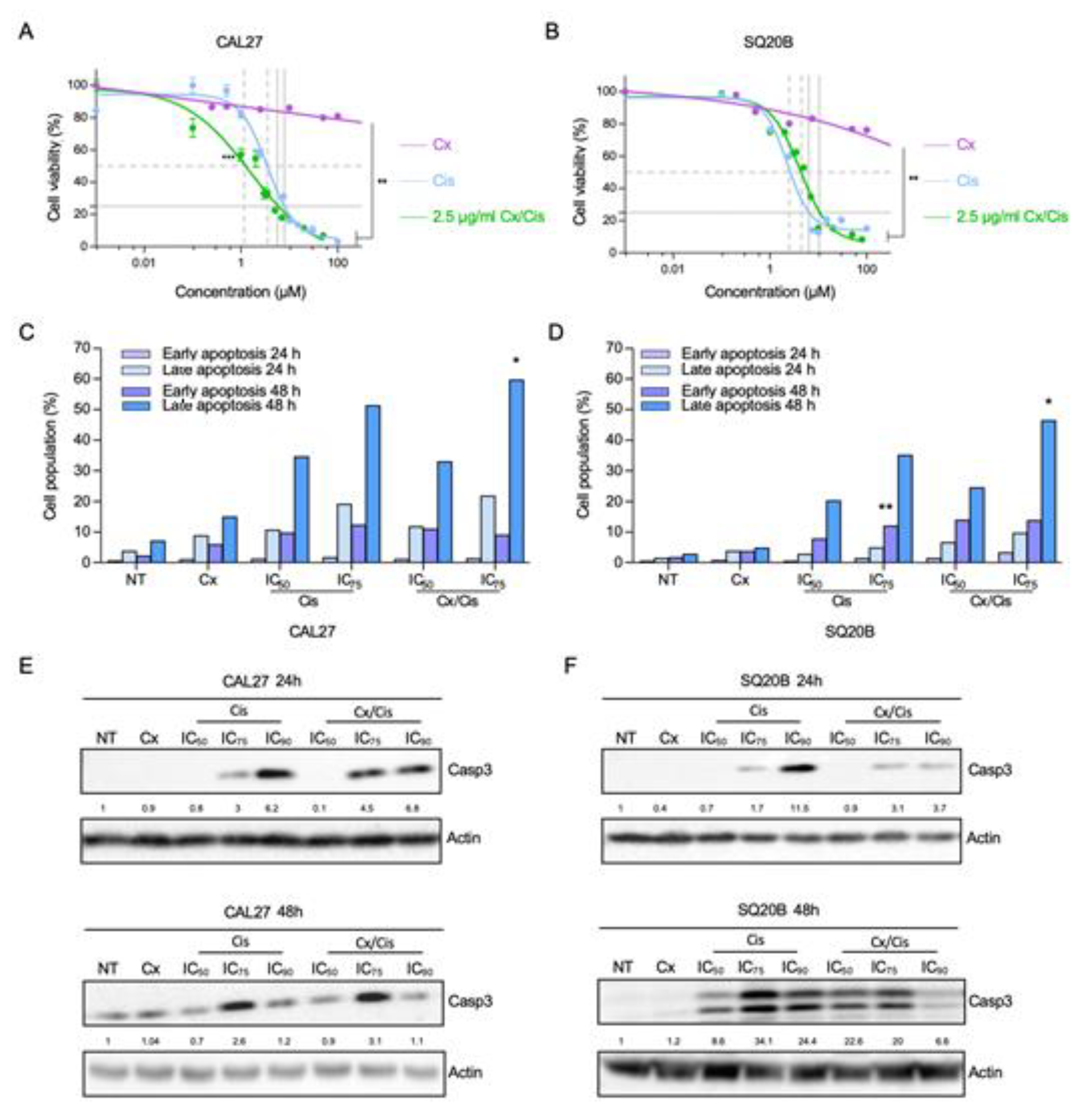 Cells 11 02866 g001 550