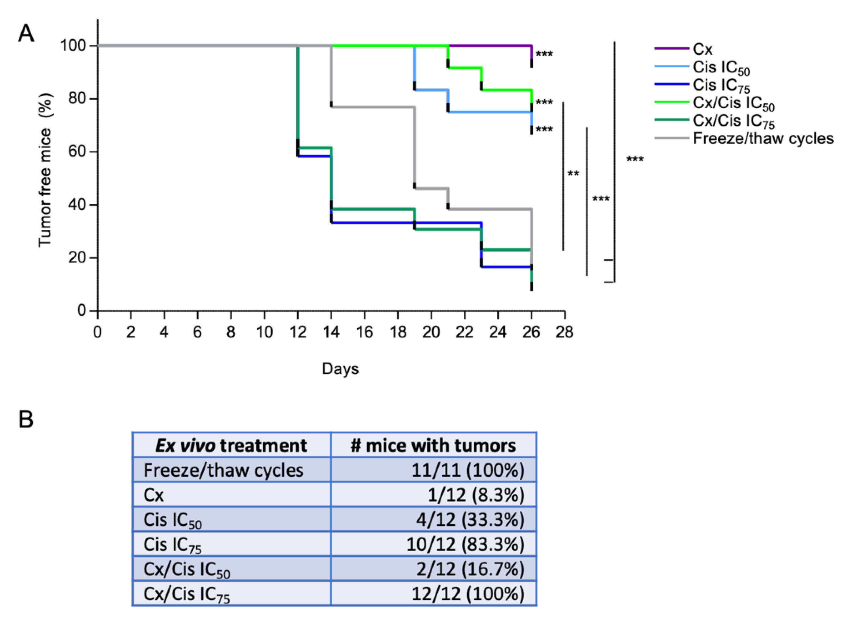 Cells 11 02866 g007 550