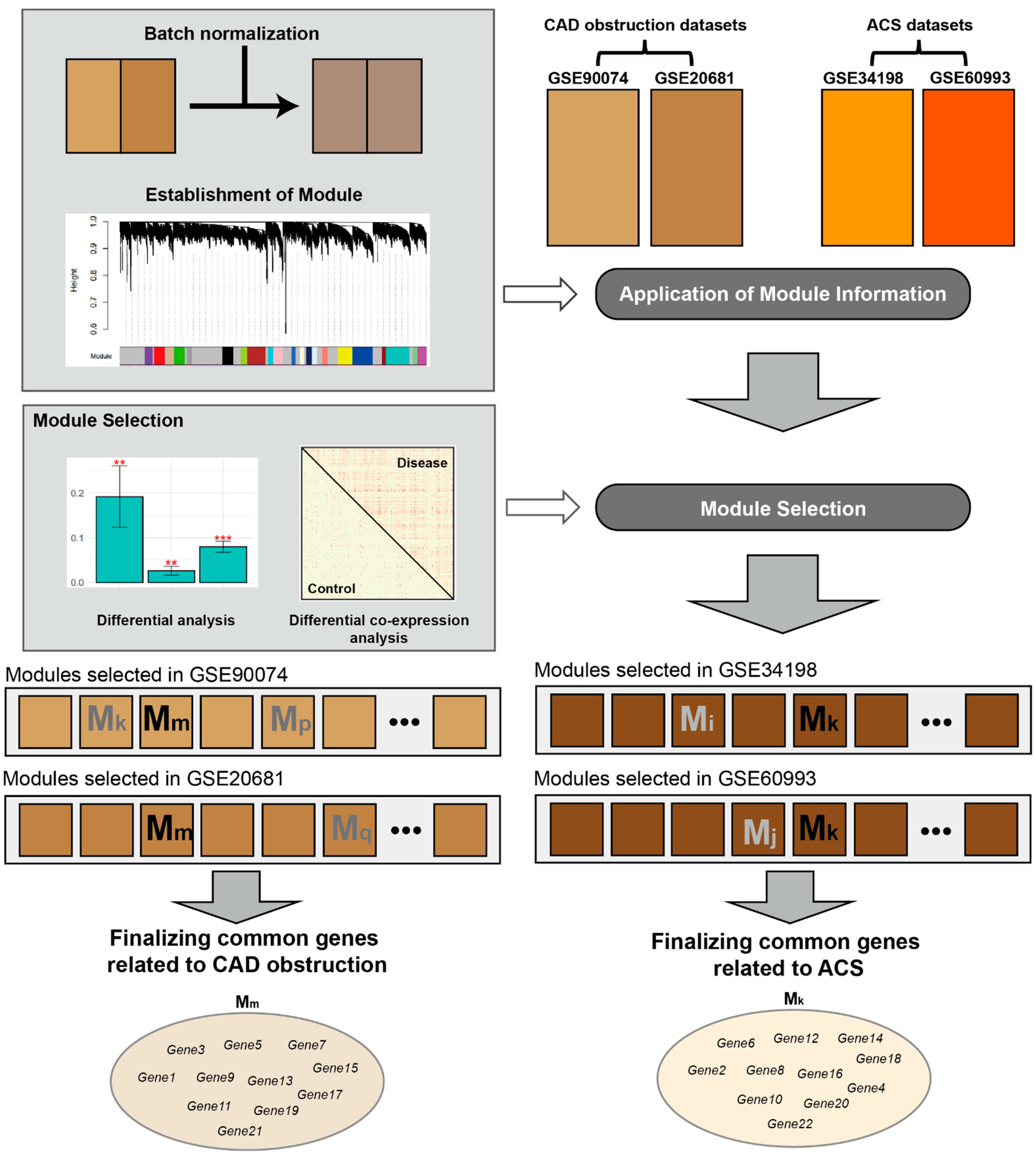 Cells 11 02867 g001 550
