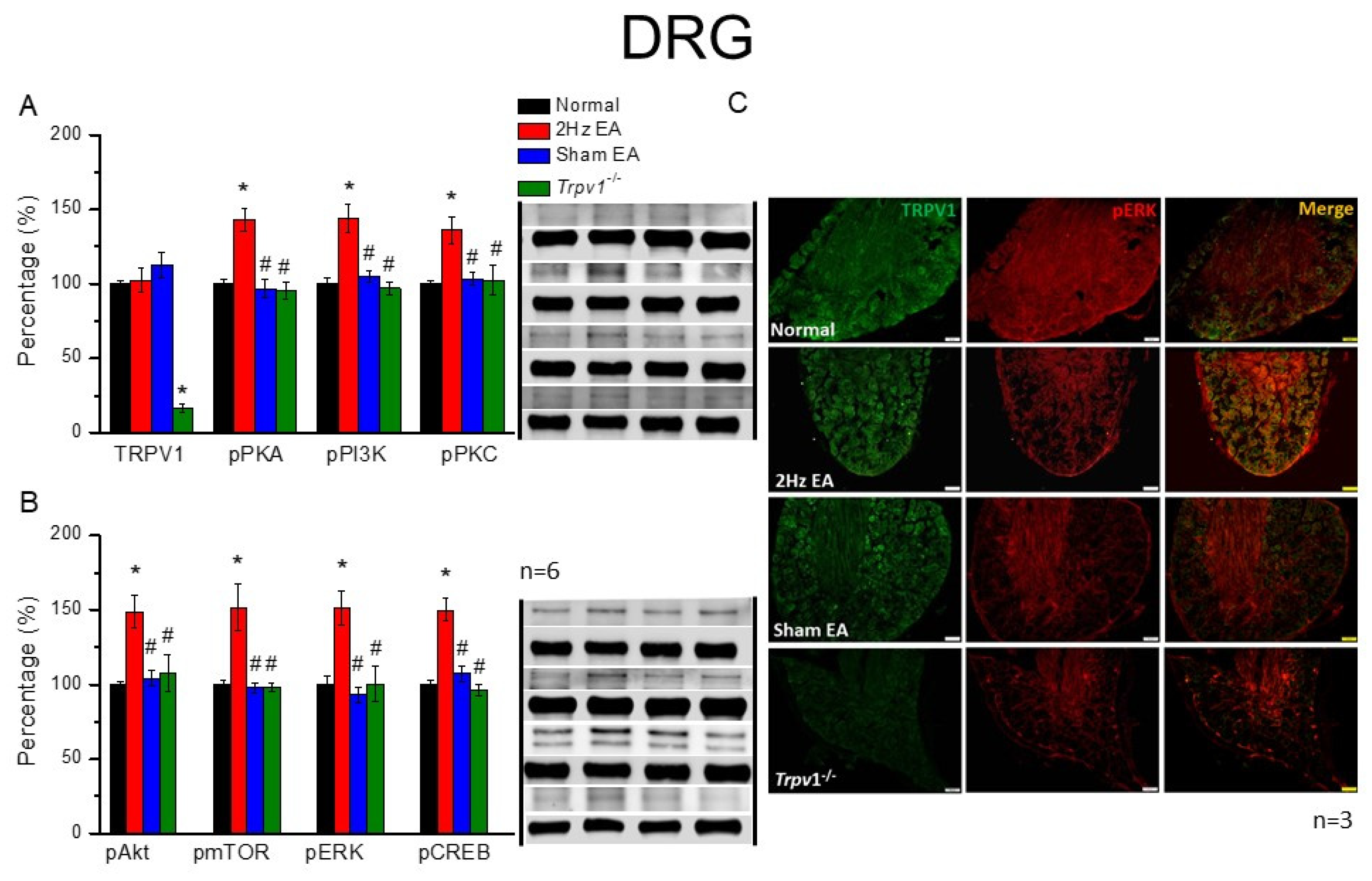 Cells 11 02869 g002 550