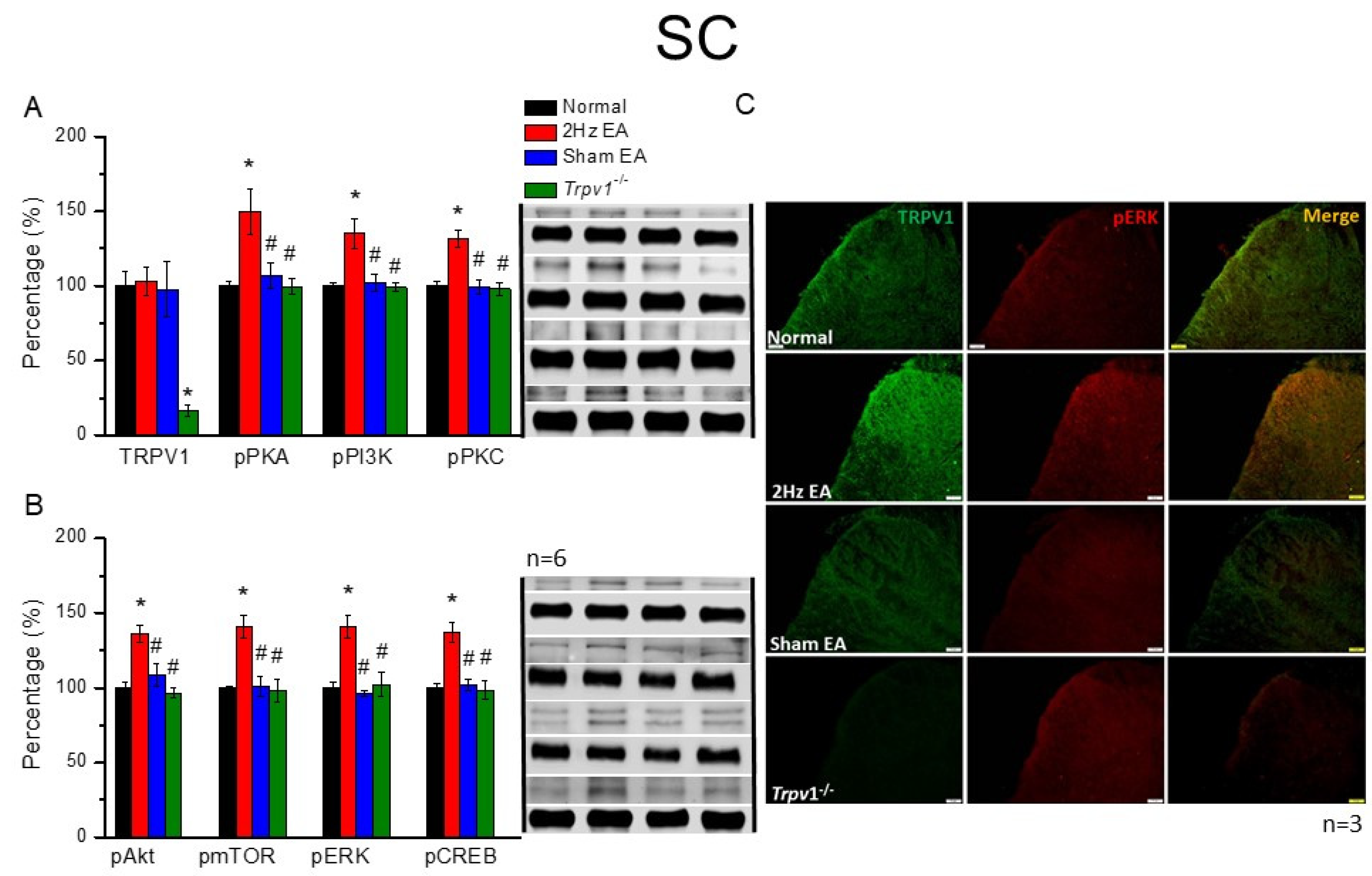 Cells 11 02869 g003 550