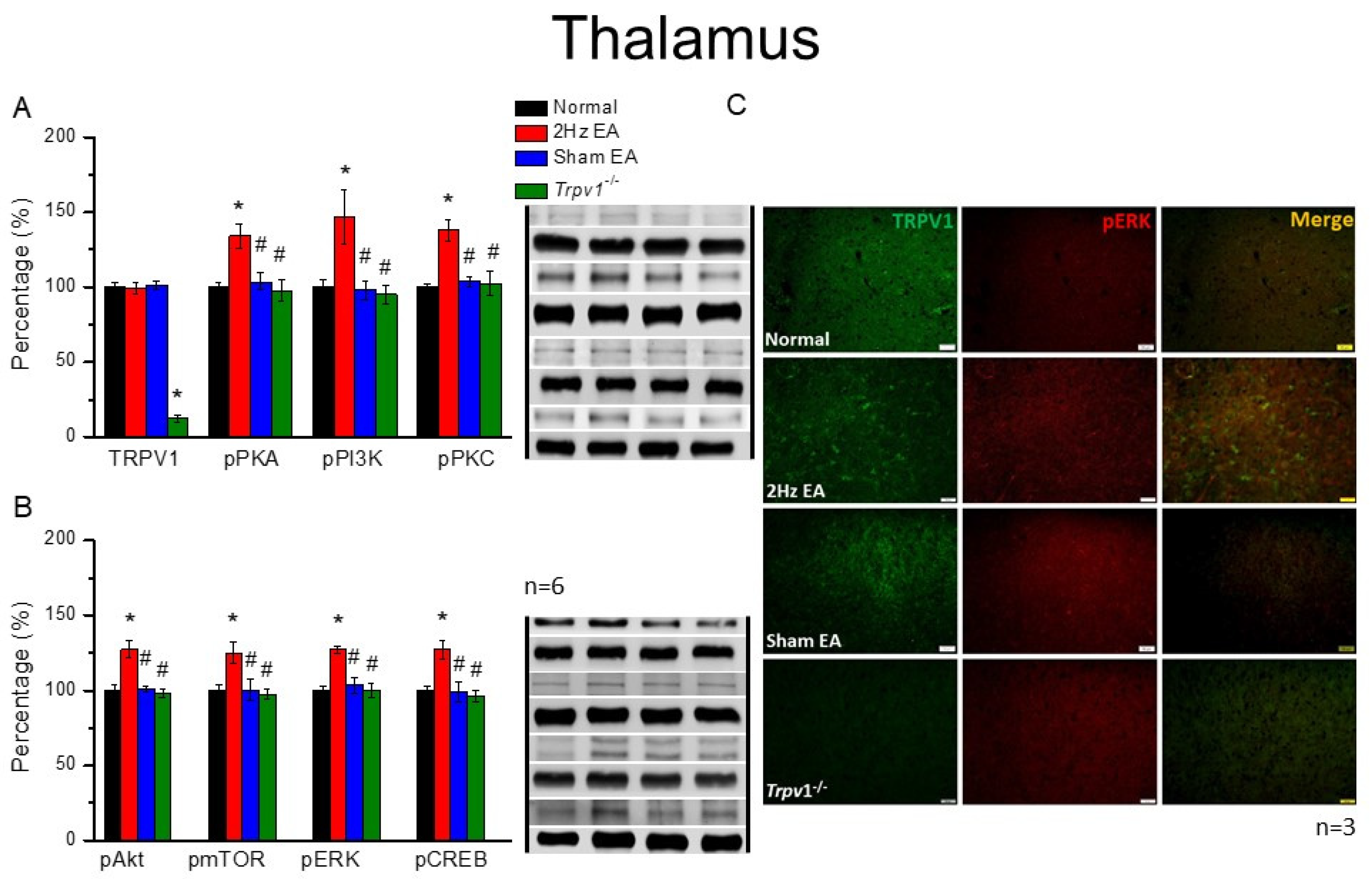 Cells 11 02869 g004 550
