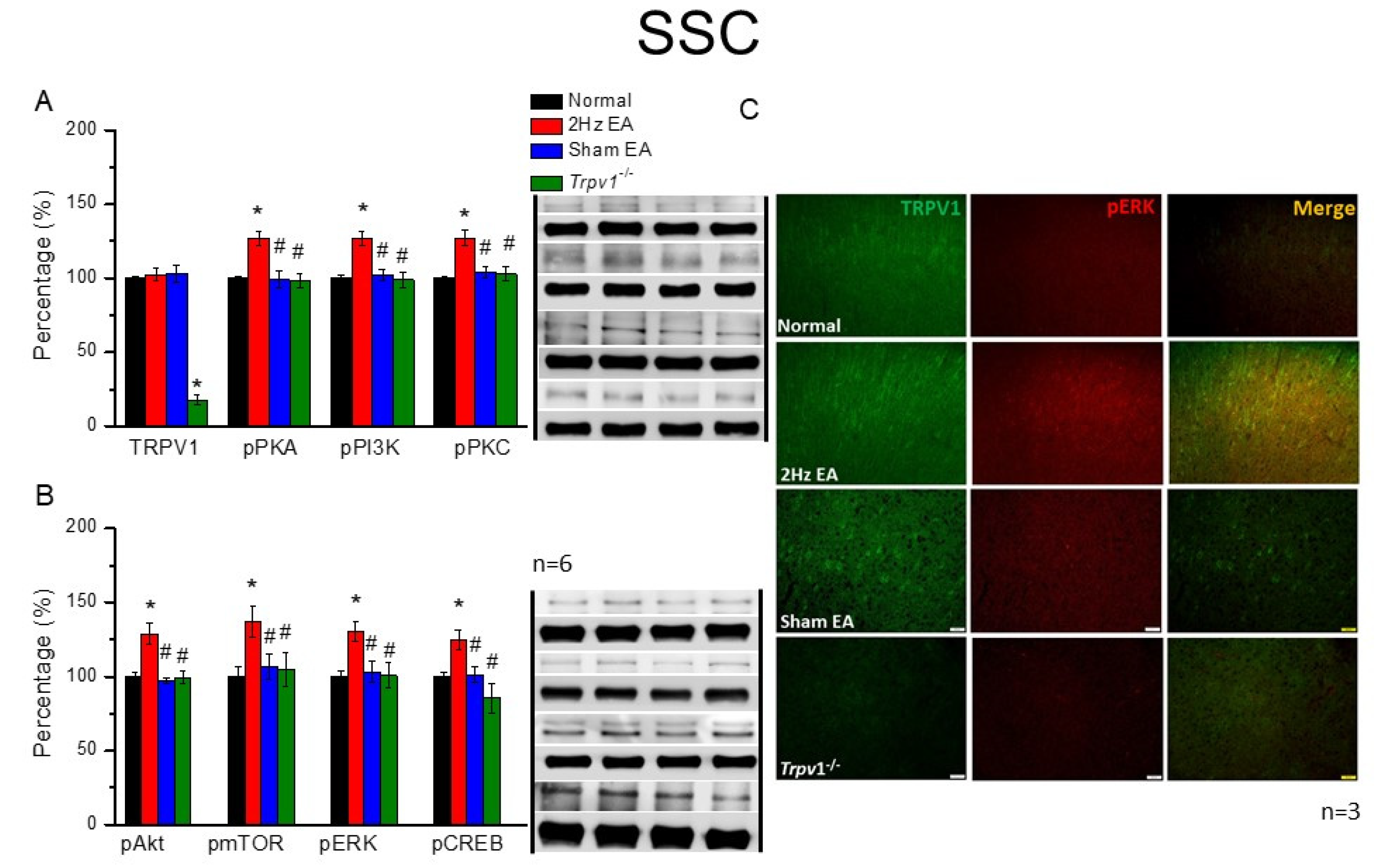 Cells 11 02869 g005 550