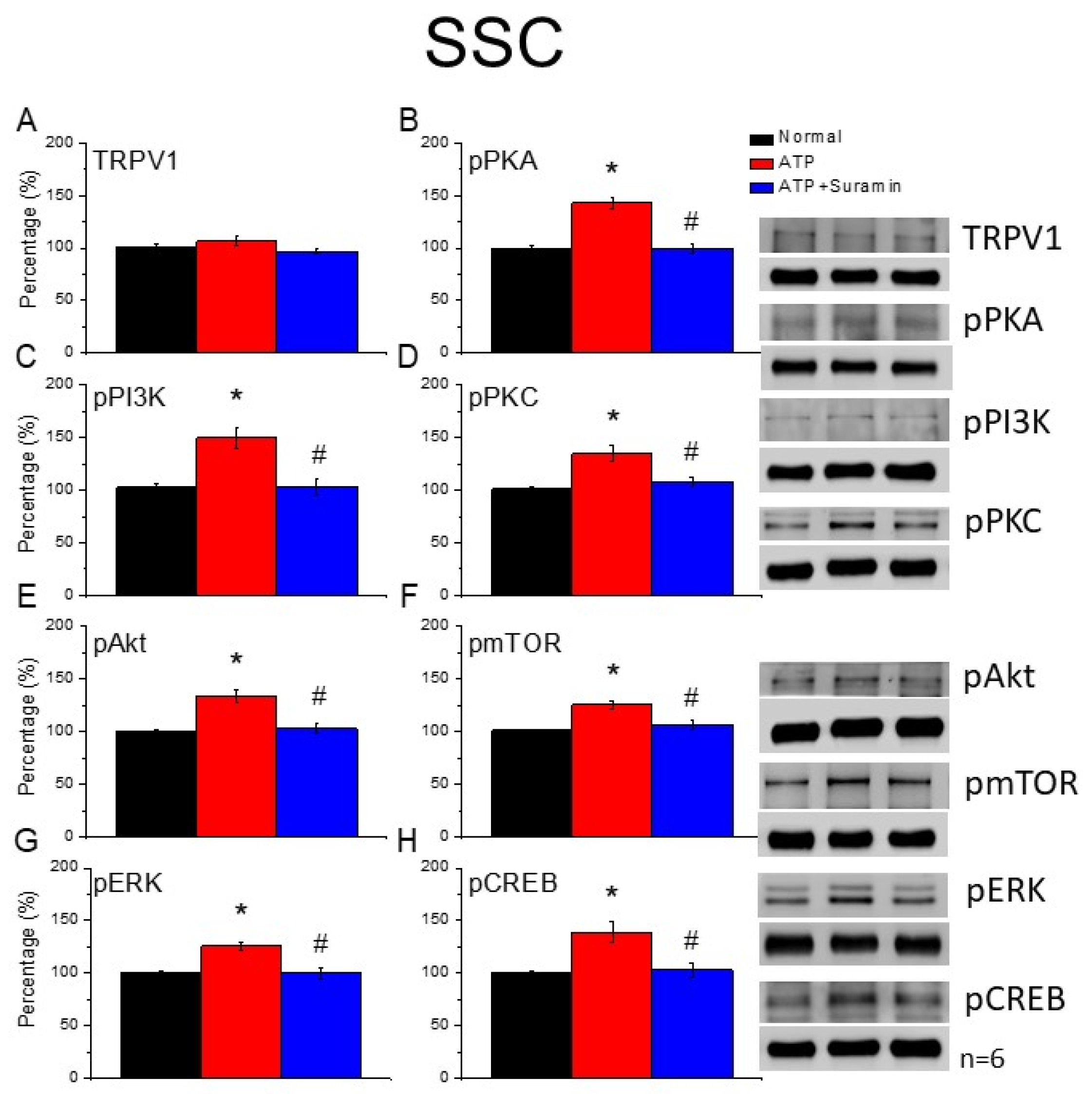 Cells 11 02869 g006 550