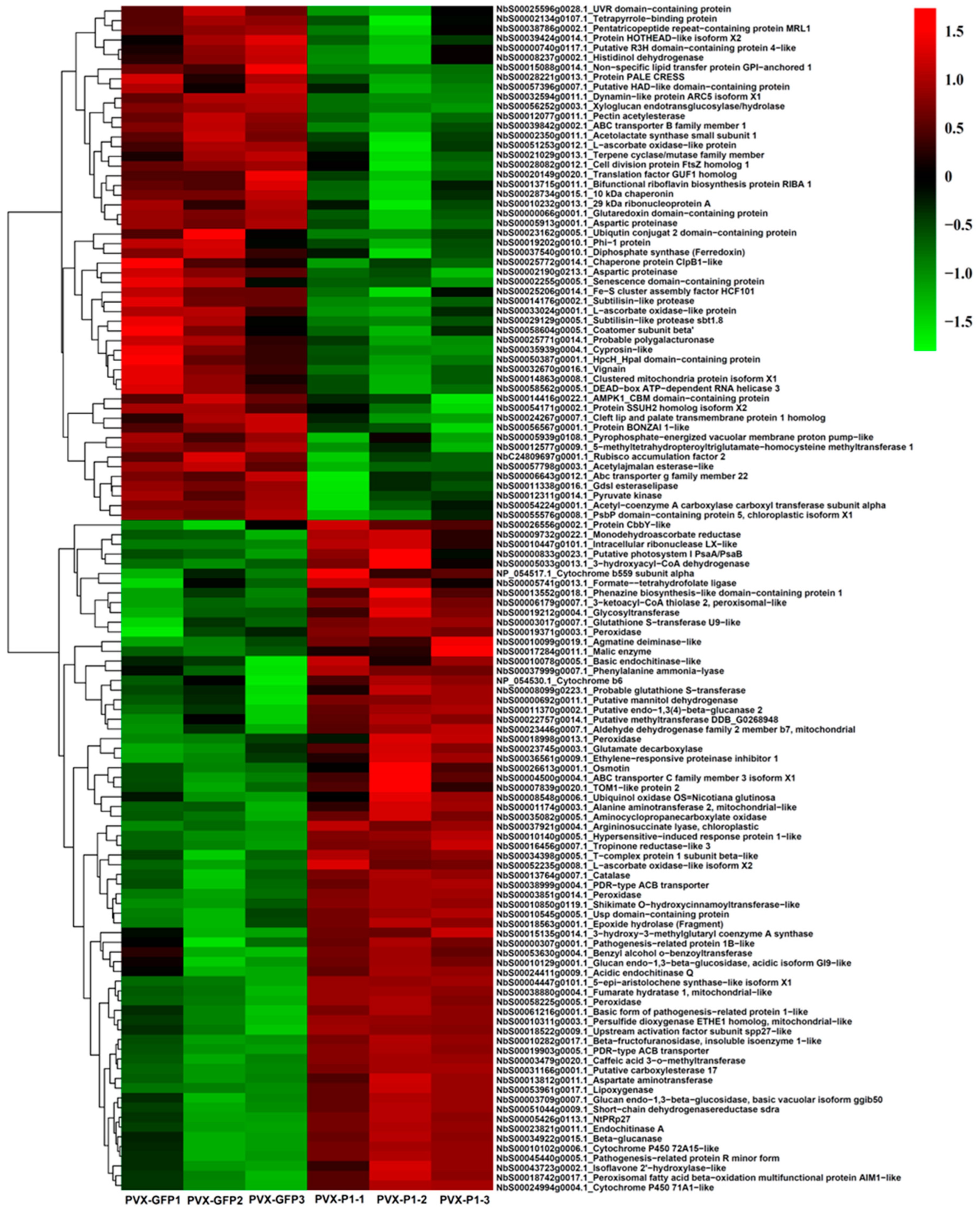 Cells 11 02870 g002 Cells 11 02870 g002