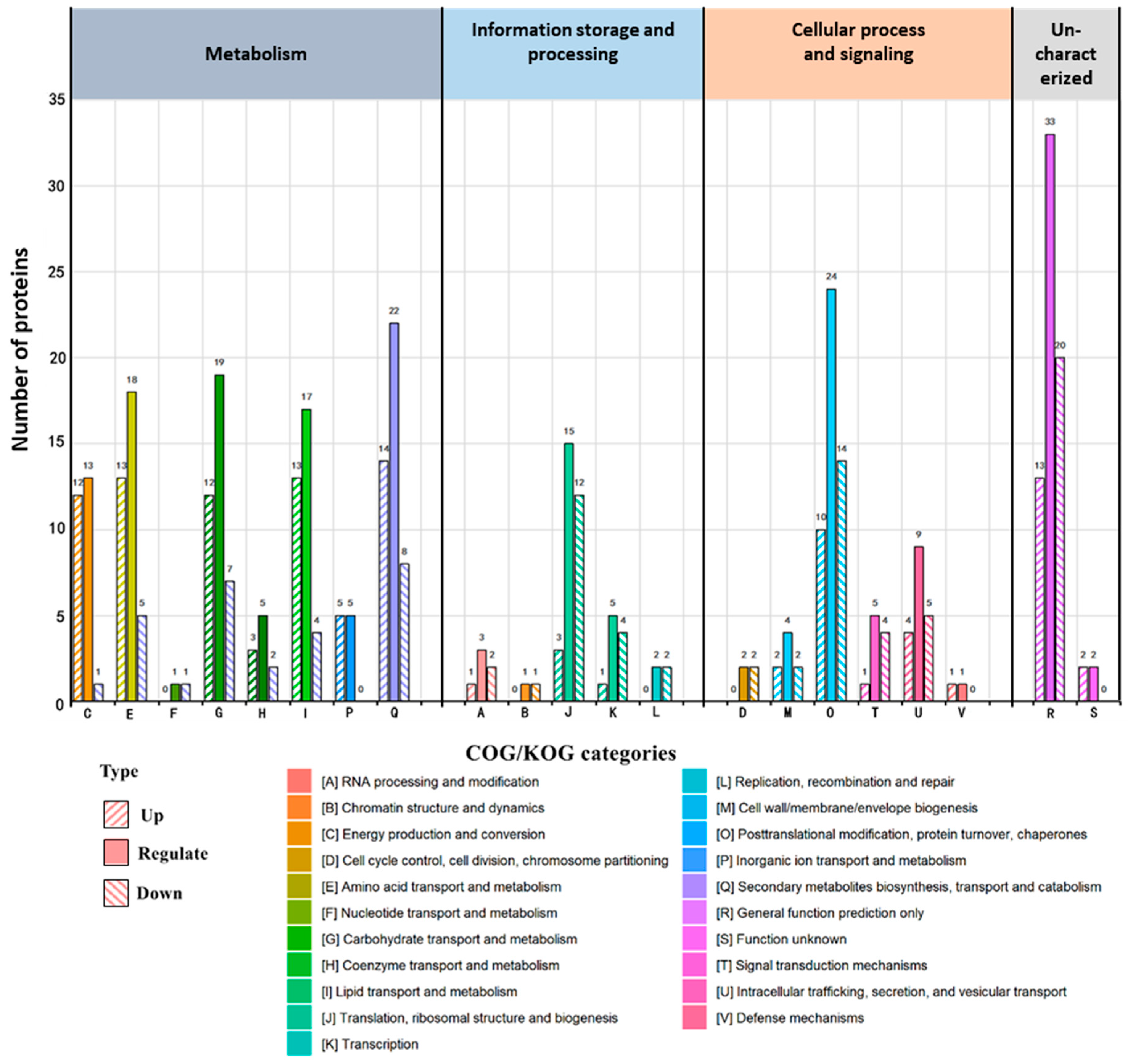 Cells 11 02870 g003 Cells 11 02870 g003