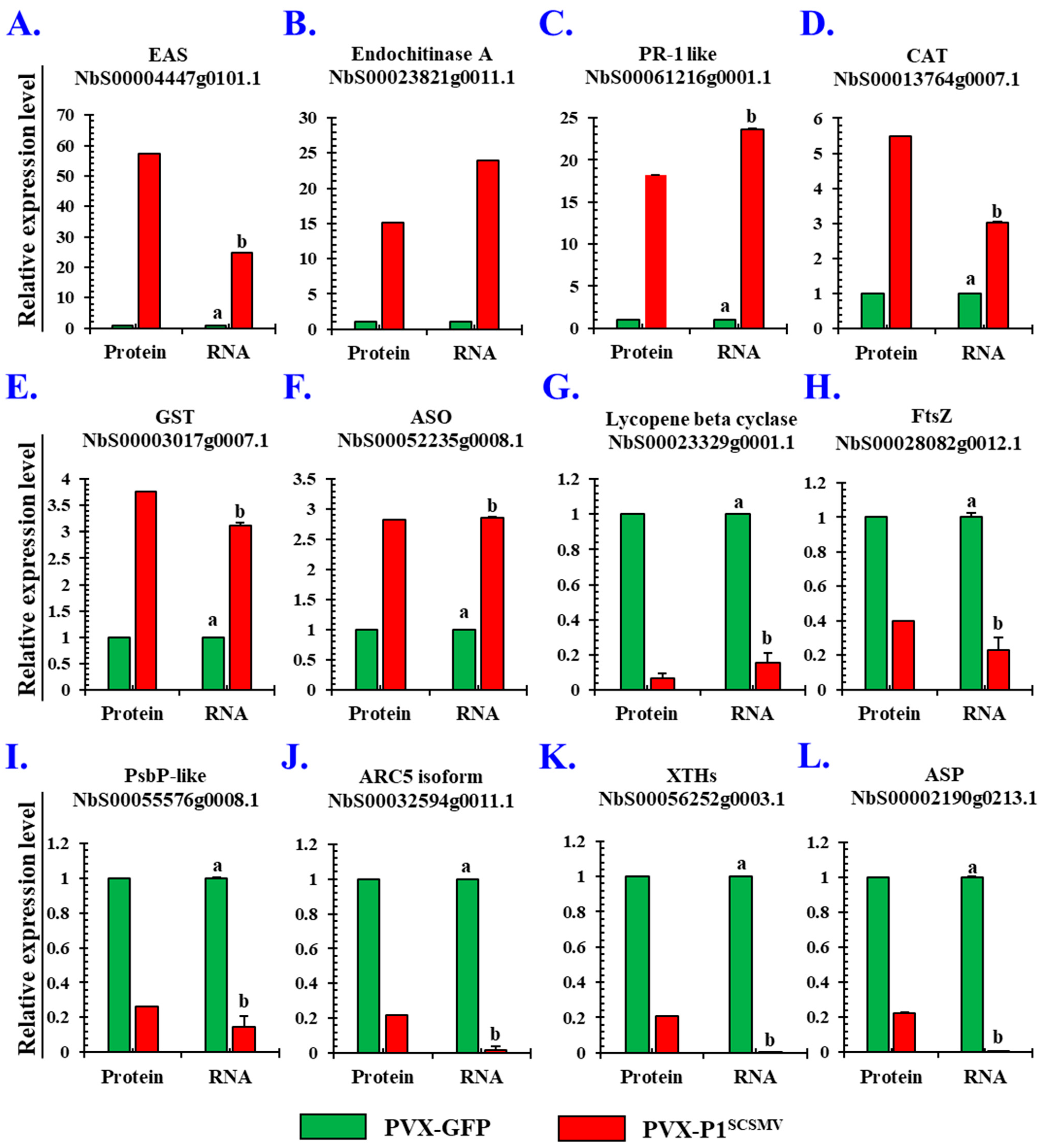 Cells 11 02870 g005 Cells 11 02870 g005