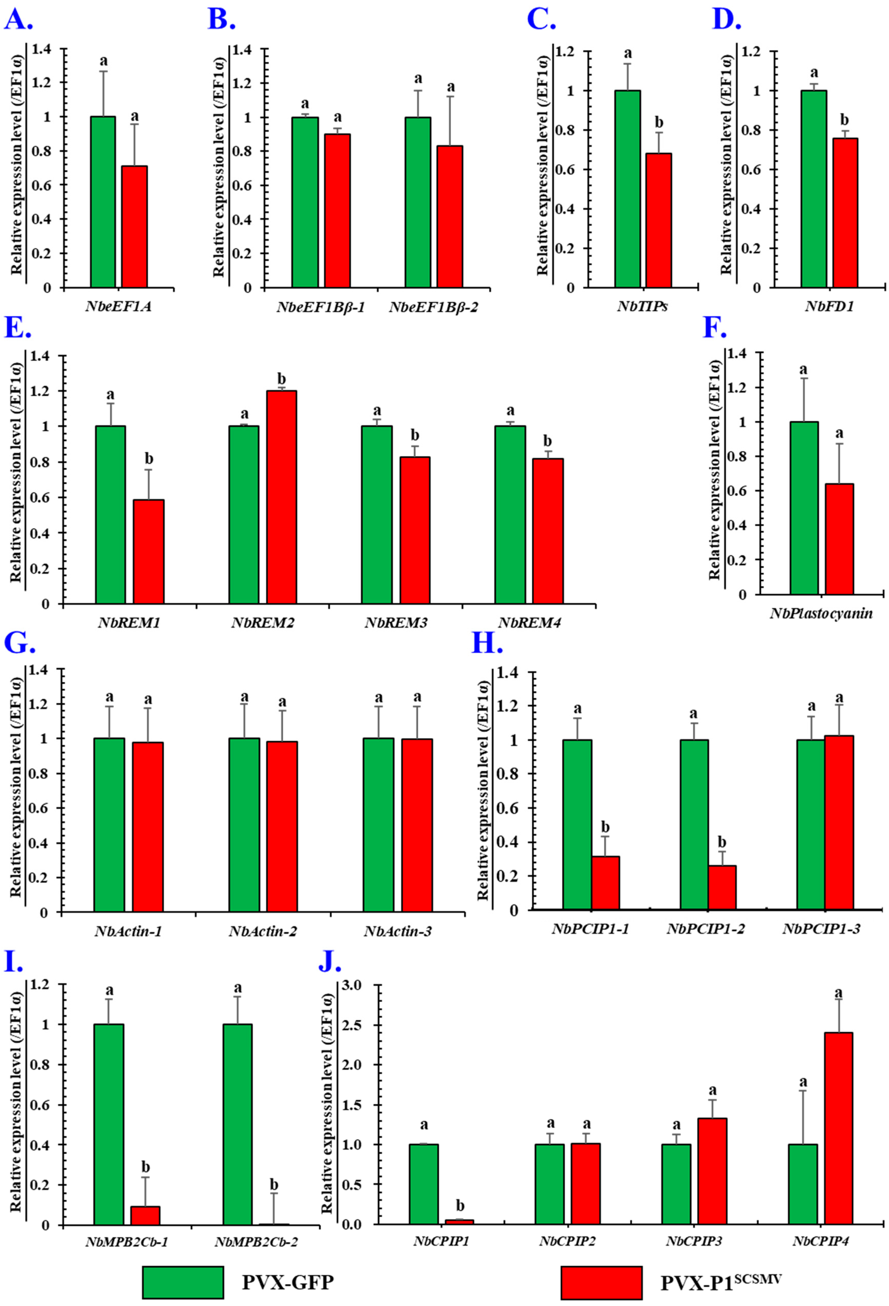 Cells 11 02870 g007 Cells 11 02870 g007