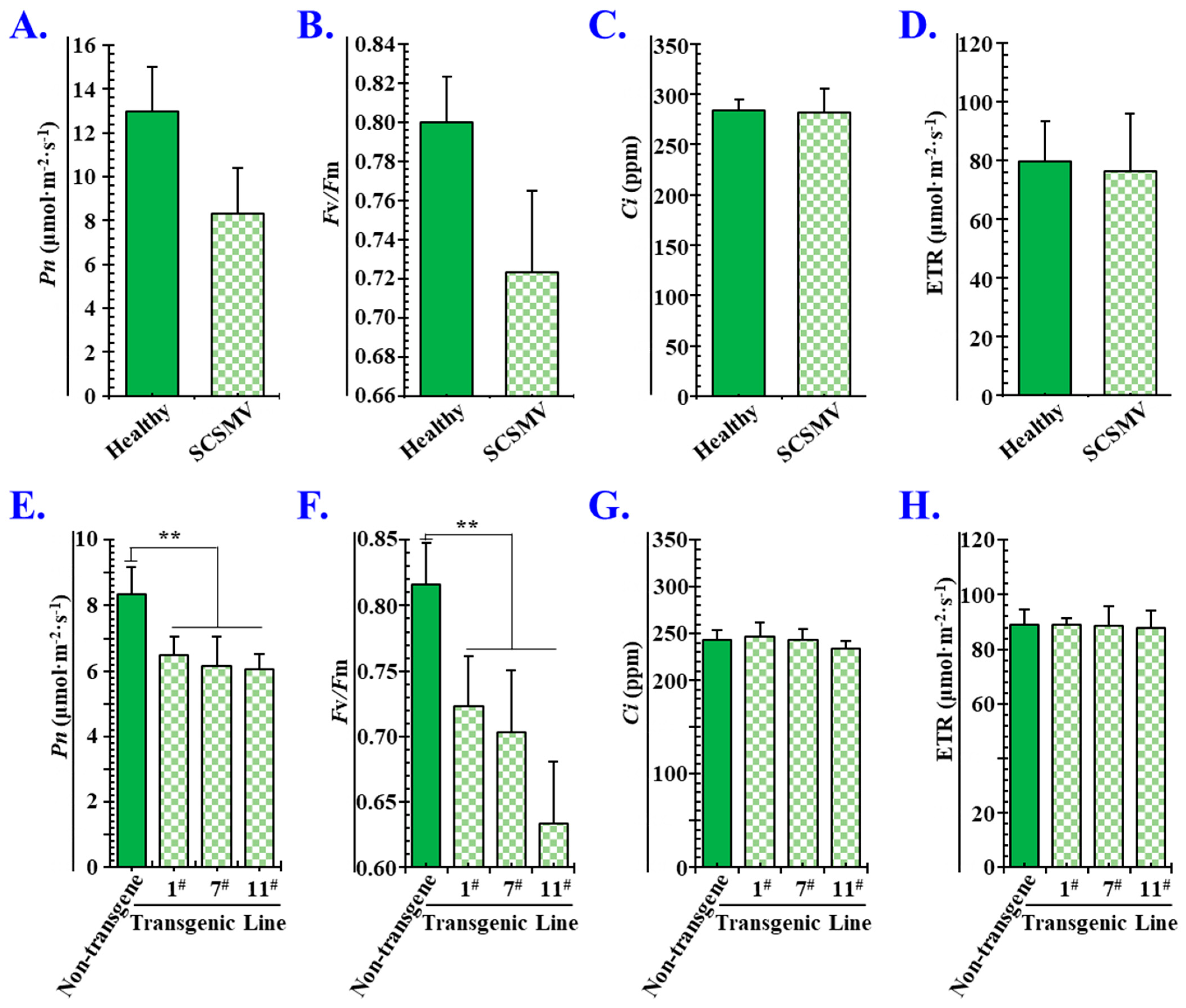 Cells 11 02870 g008 Cells 11 02870 g008