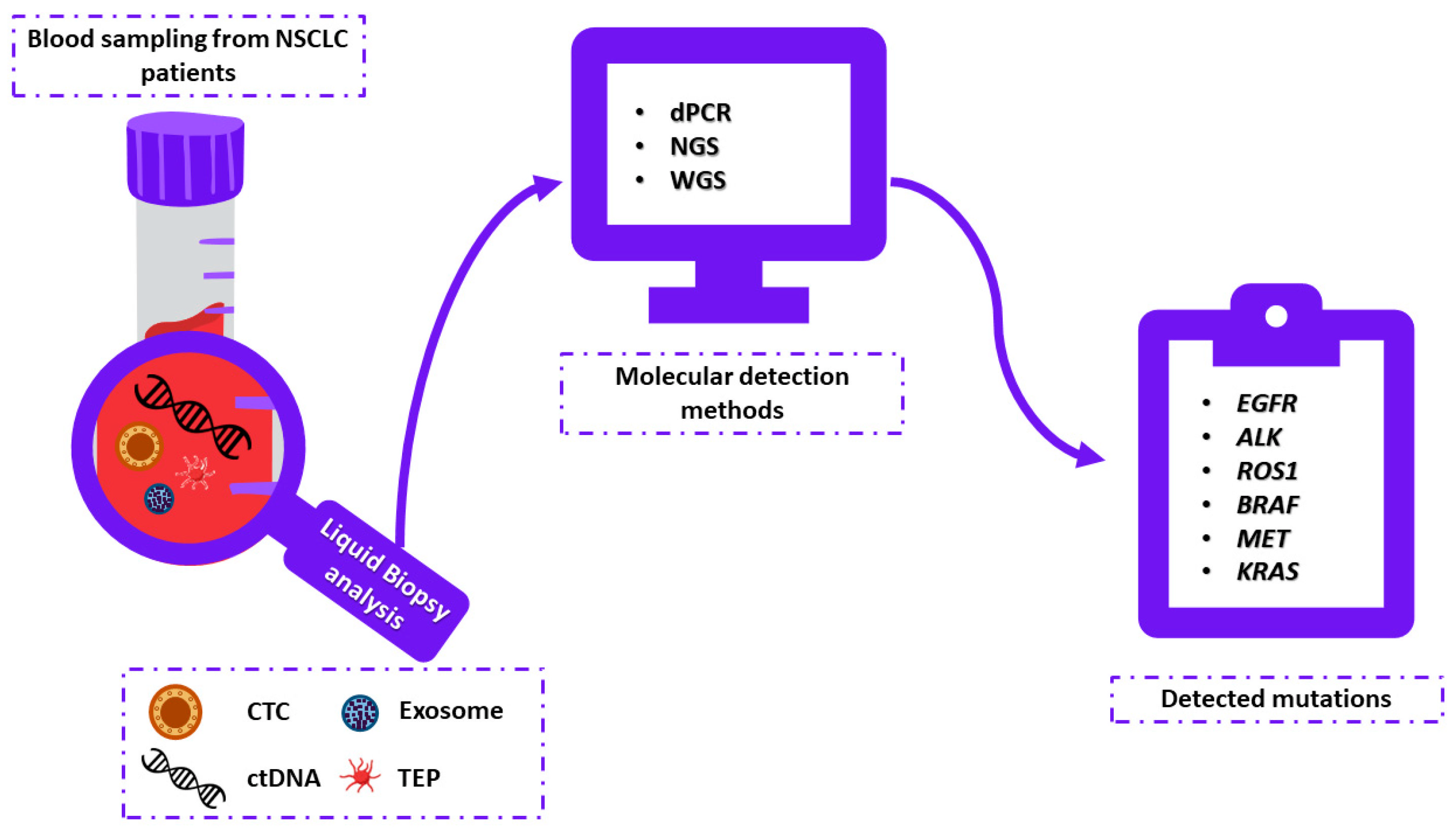 Cells 11 02871 g002 Cells 11 02871 g002
