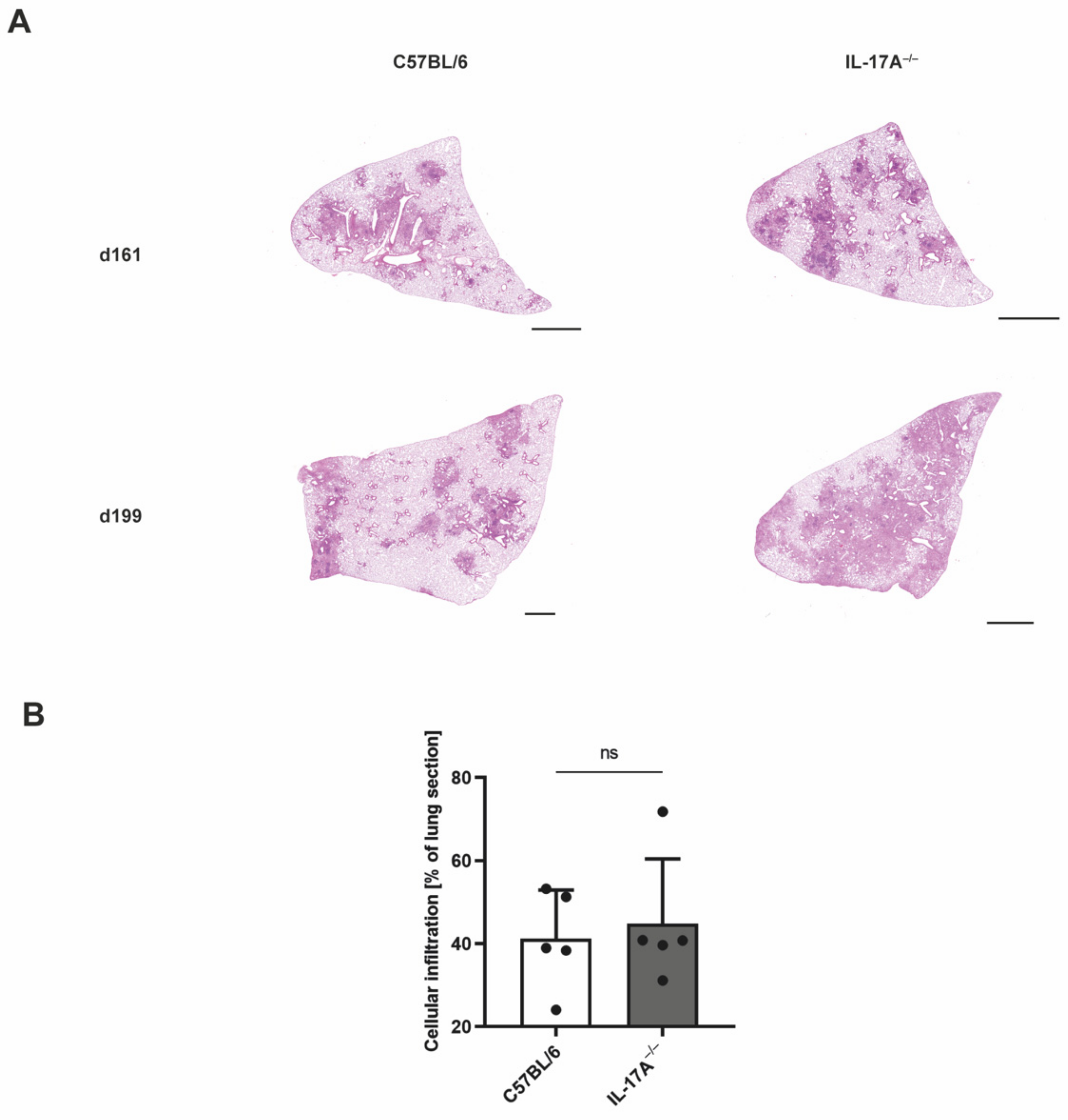 Cells 11 02875 g002 550
